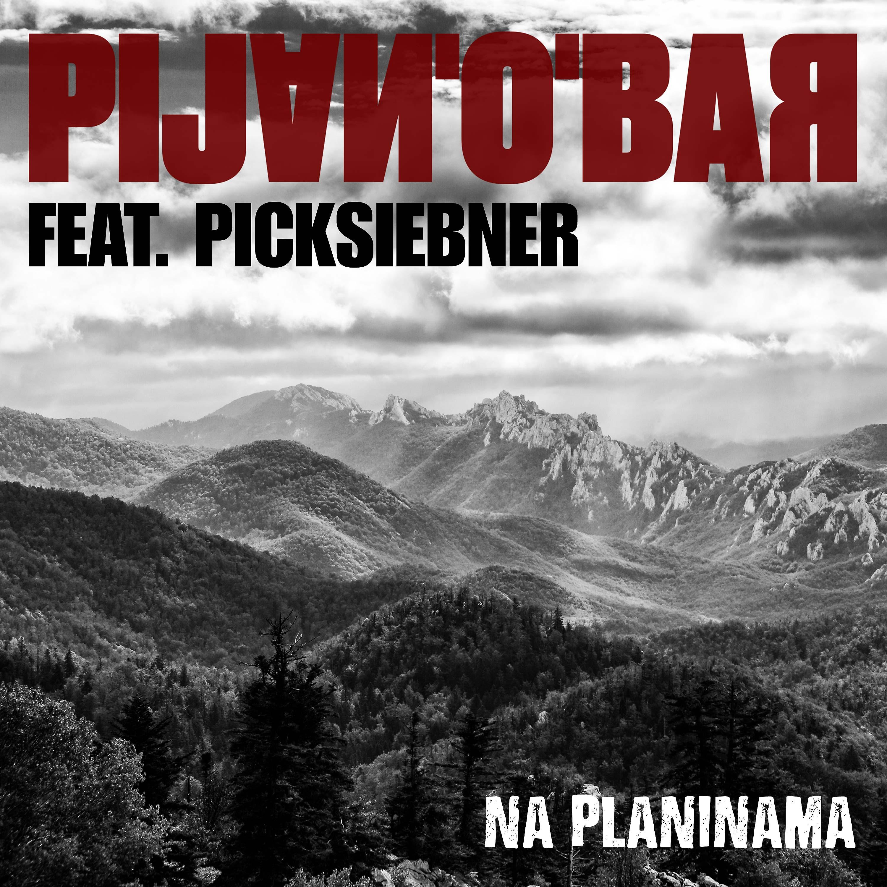 Постер альбома Na Planinama