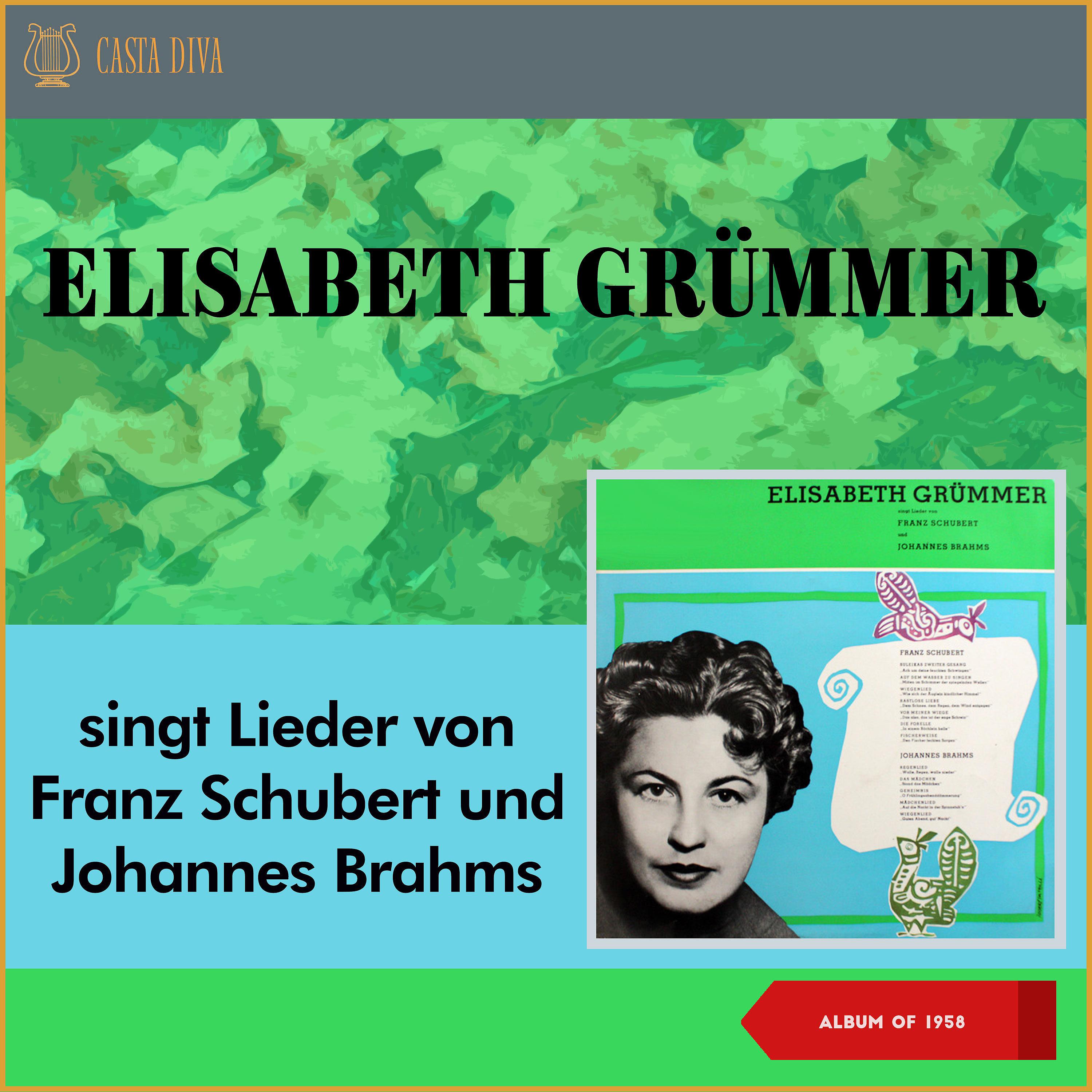 Постер альбома Singt Lieder von Franz Schubert und Johannes Brahms