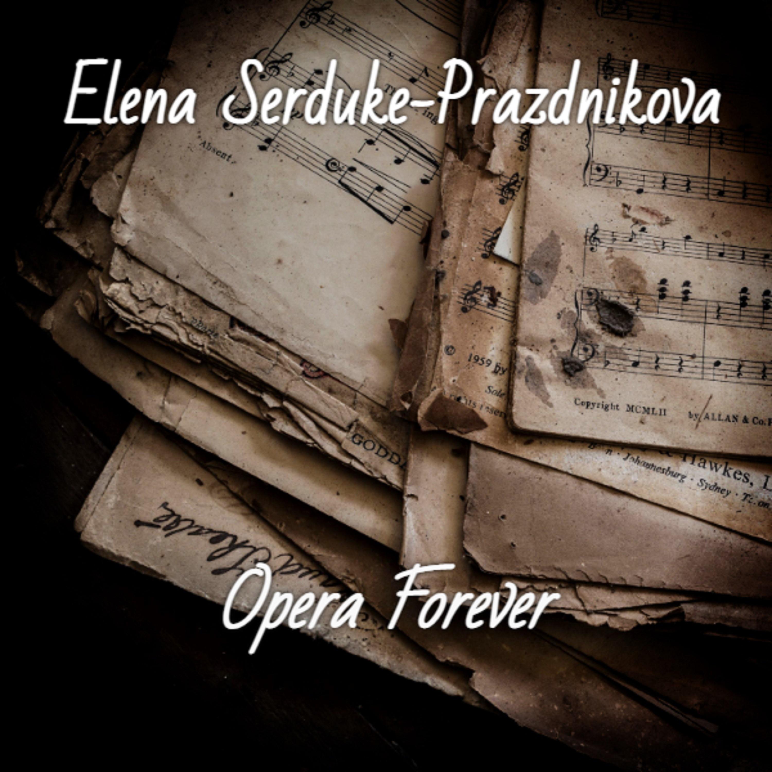 Постер альбома Opera Forever