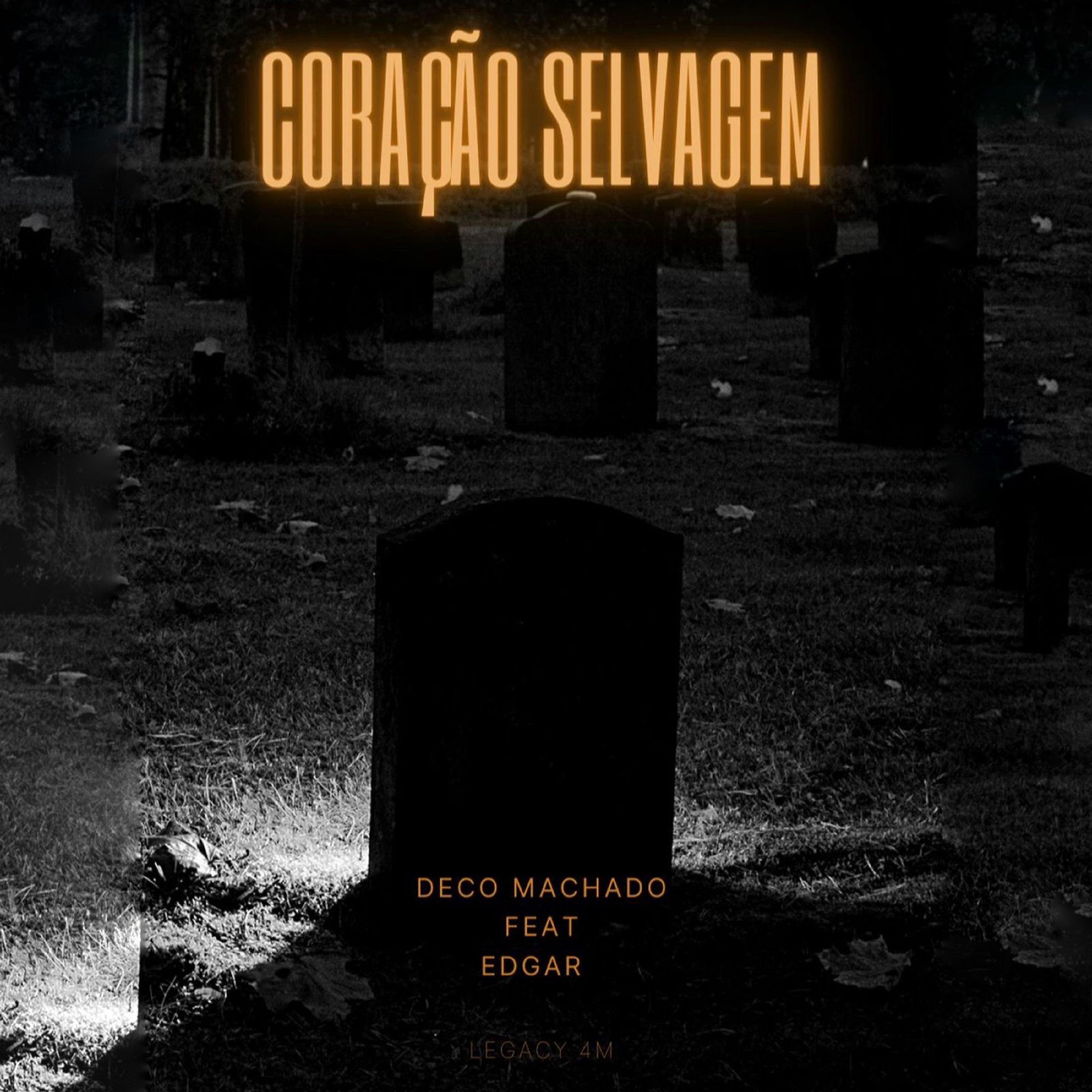 Постер альбома Coração Selvagem