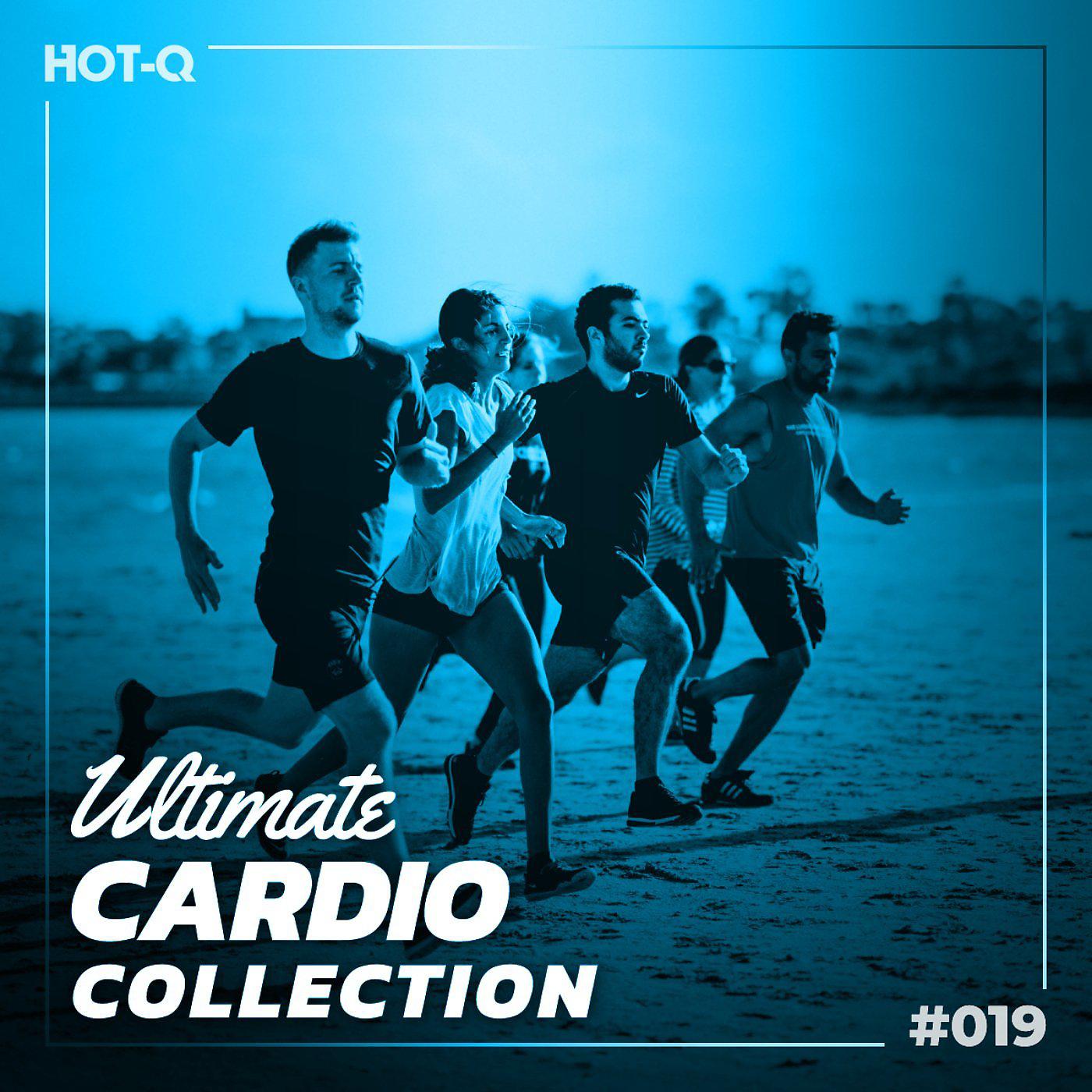 Постер альбома Ultimate Cardio Collection 019