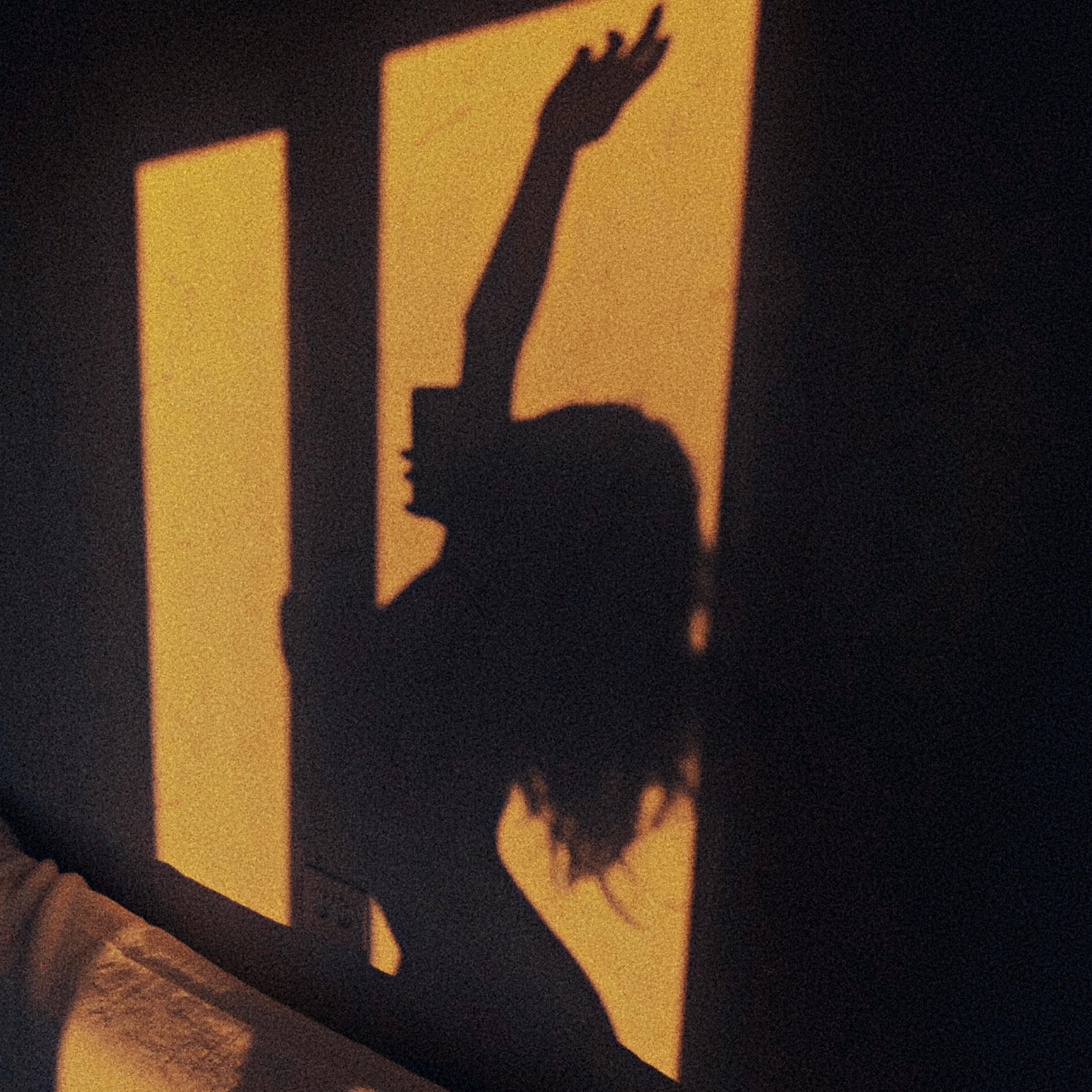 Постер альбома Танцы в тени