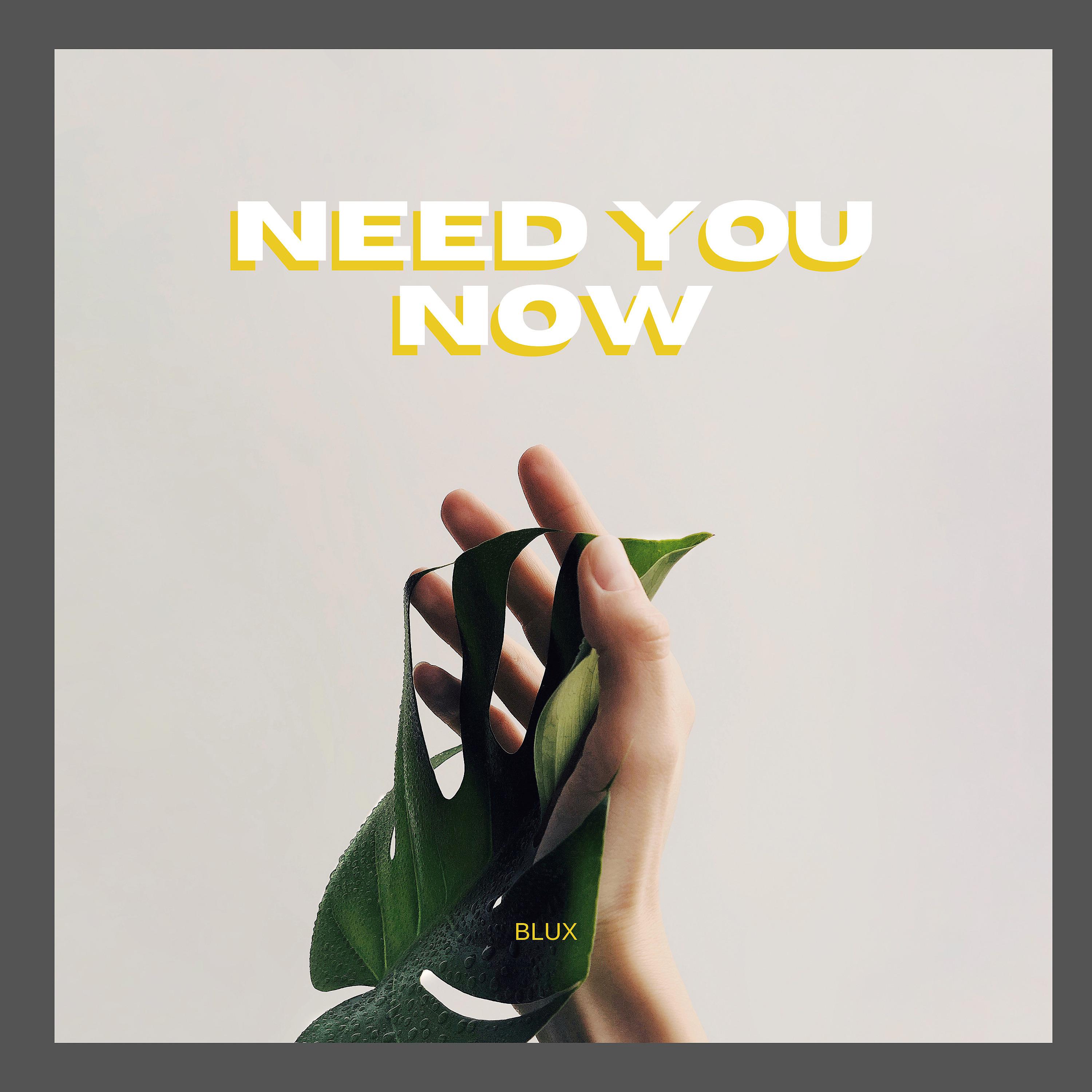 Постер альбома Need You Now