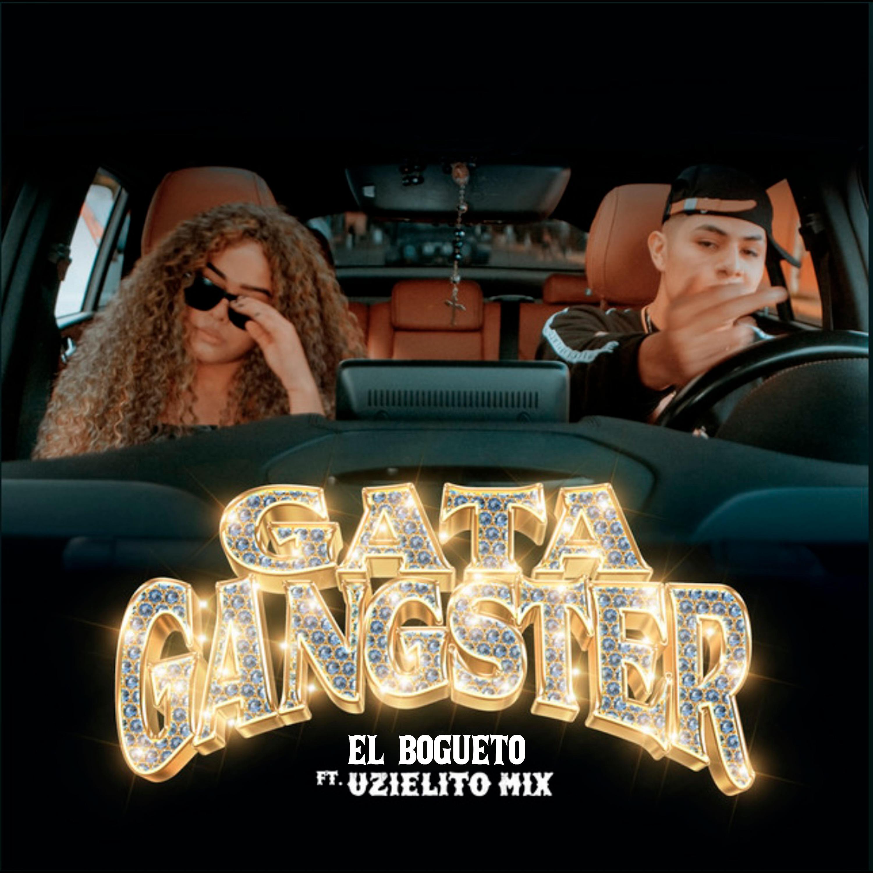 Постер альбома Gata Gangster