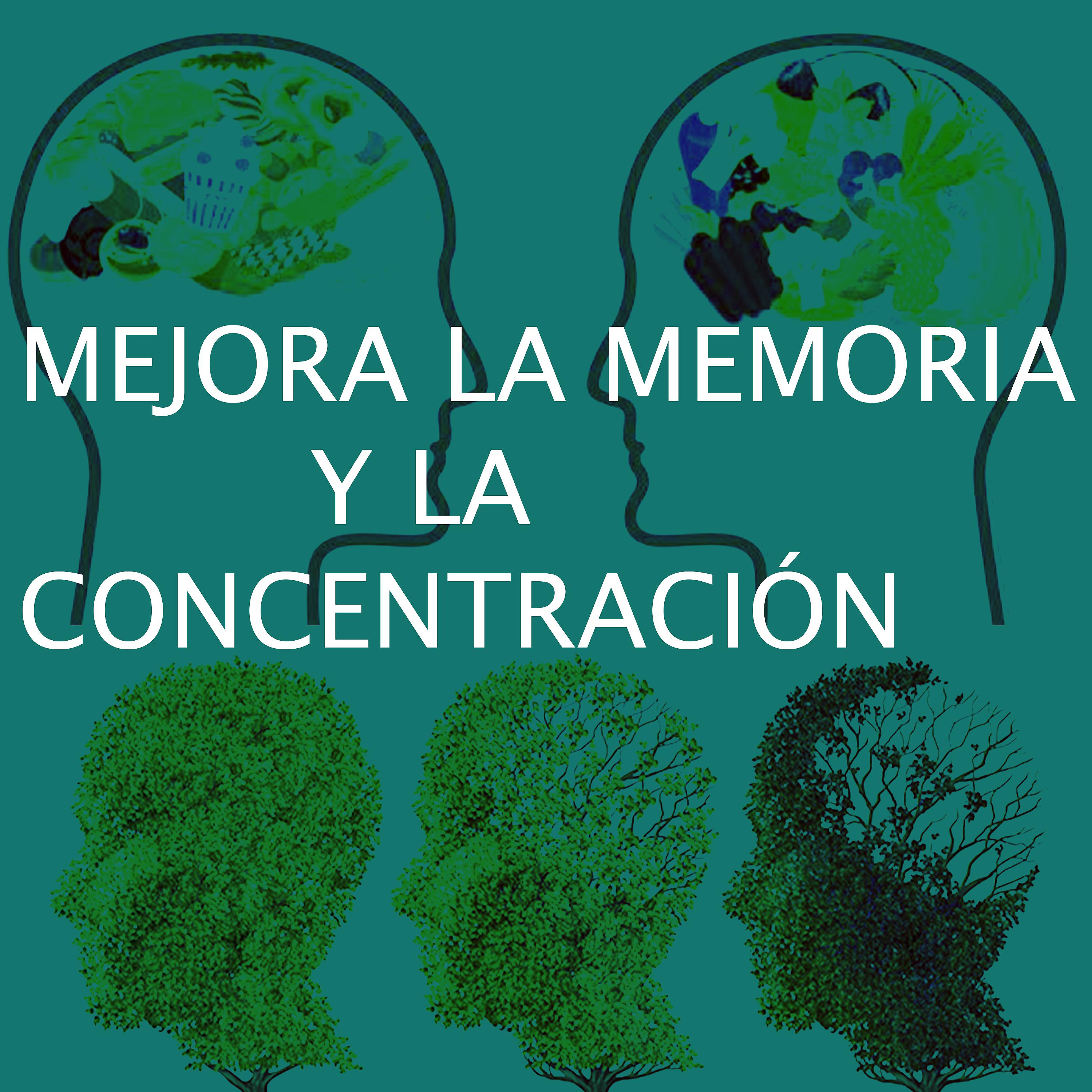Постер альбома Mejora De La Memoria y La Concentración