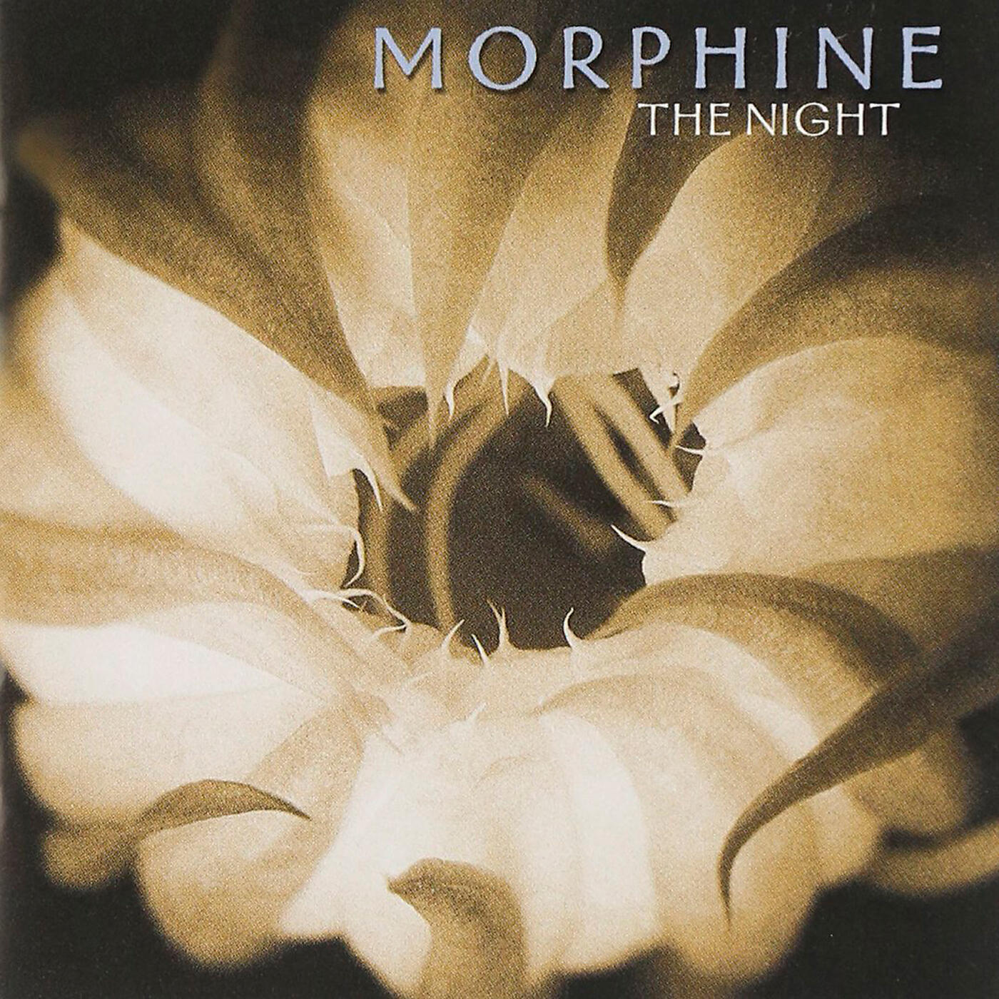 Morphine. Morphine the Night. Morphine группа обложка. Morphine 2008. Morphine the Night альбом.
