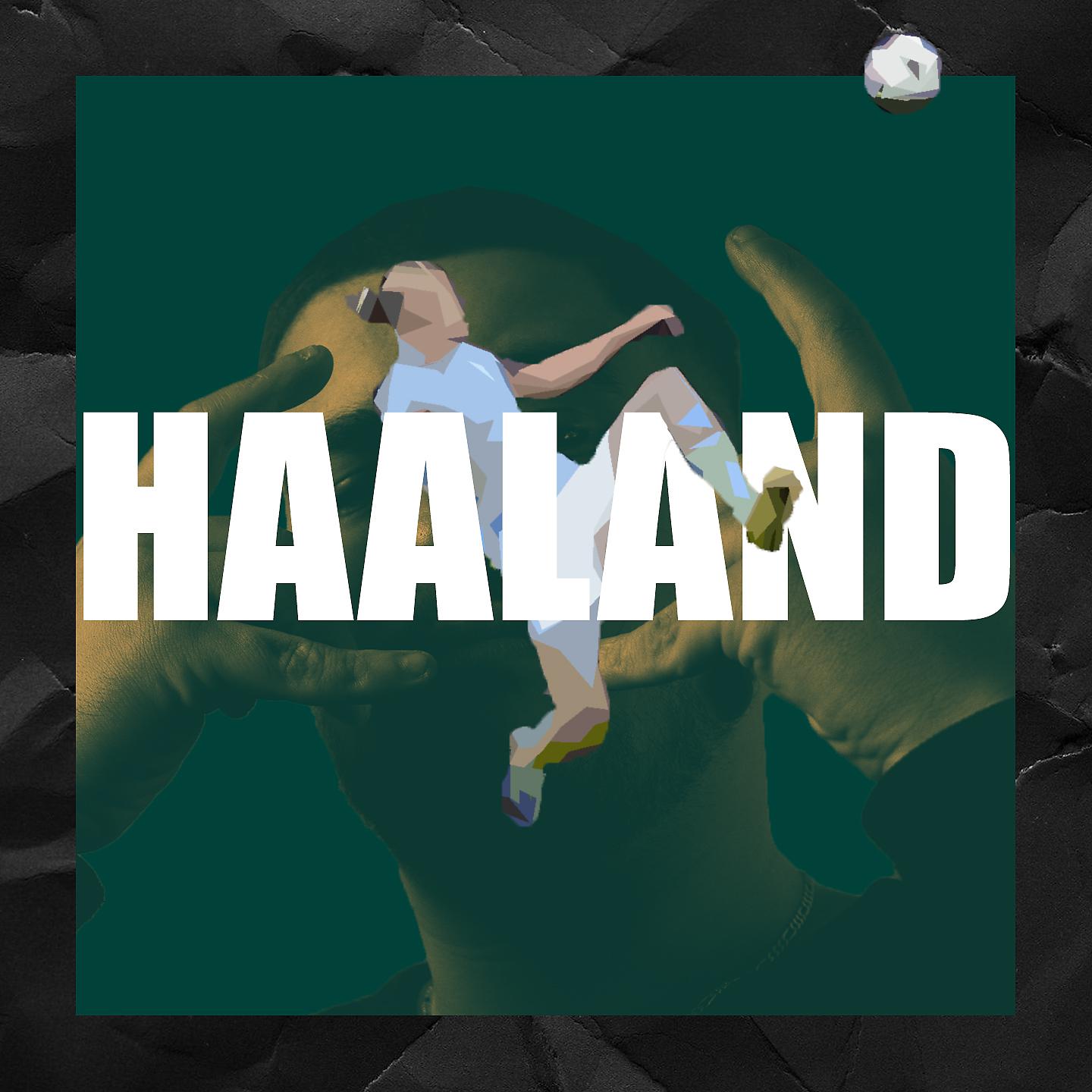 Постер альбома Haaland