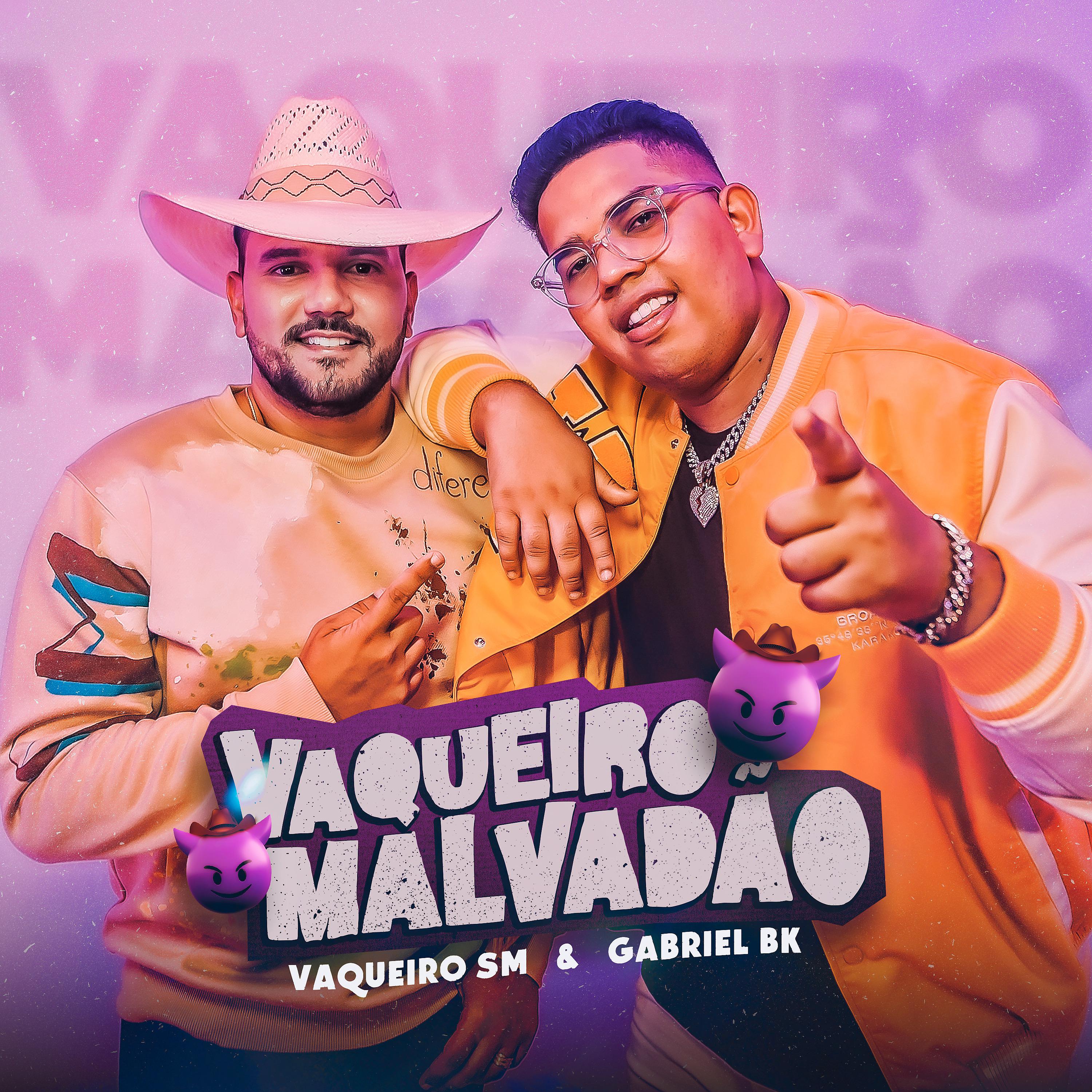 Постер альбома Vaqueiro Malvadão