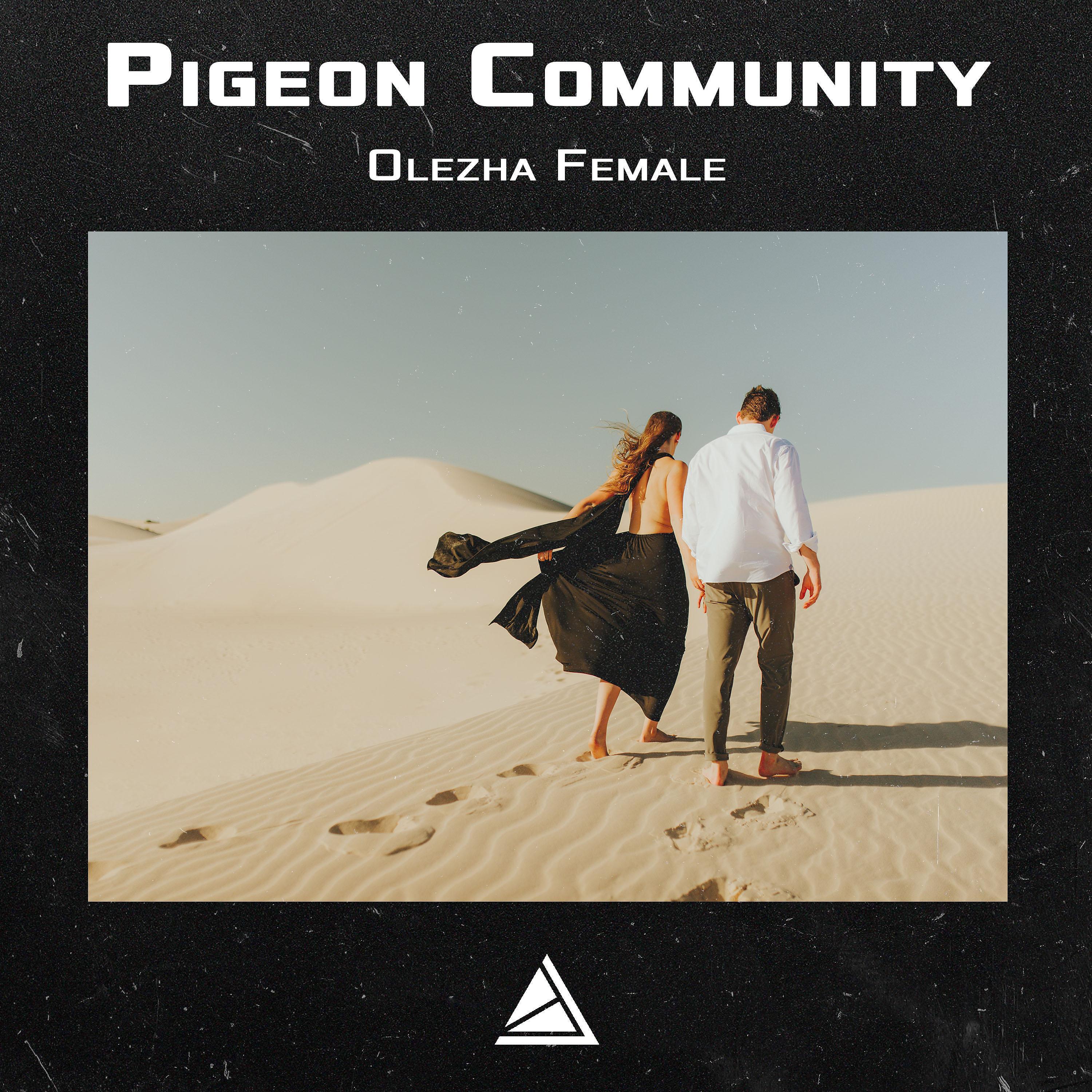 Pigeon Community - Olezha Female