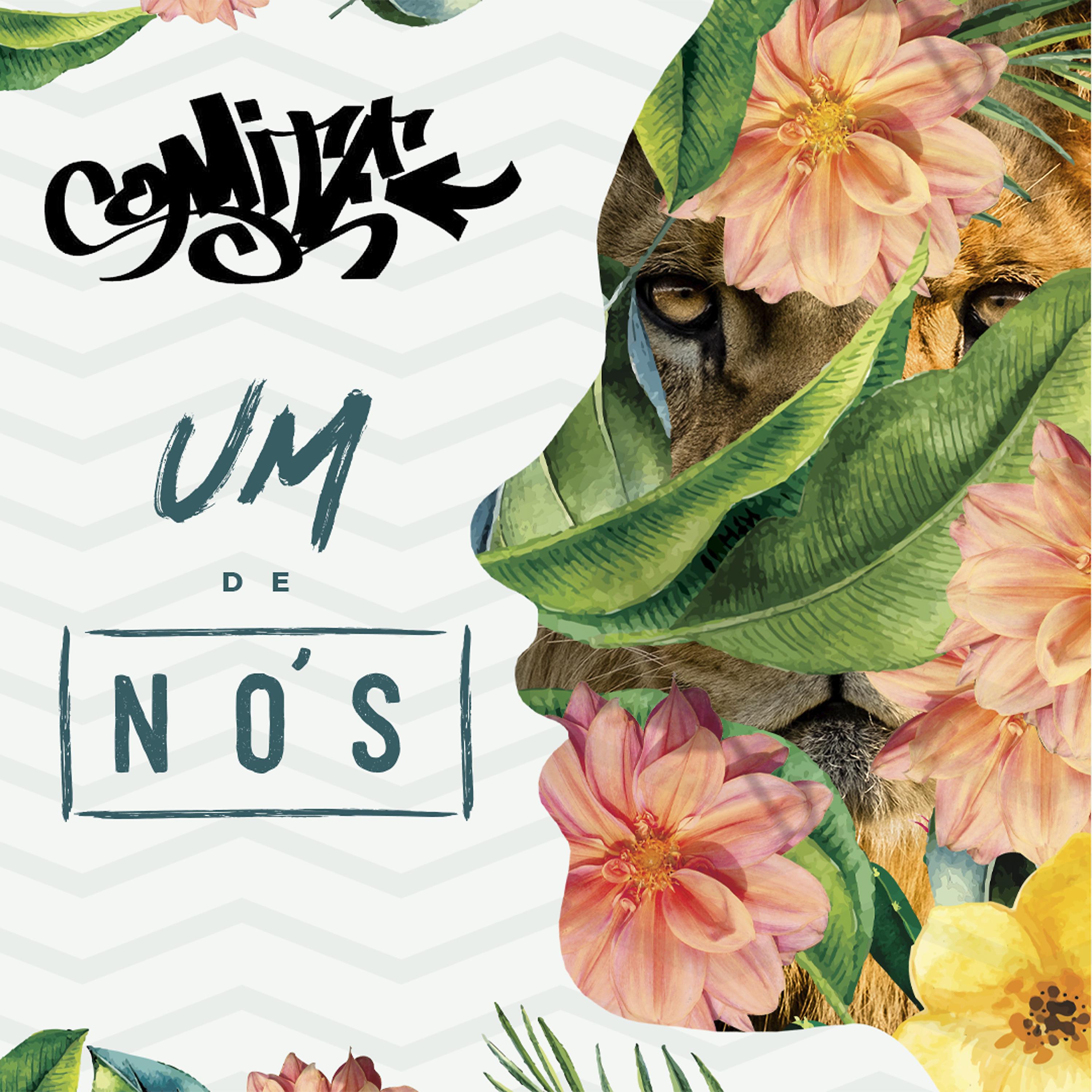 Постер альбома Um de Nós