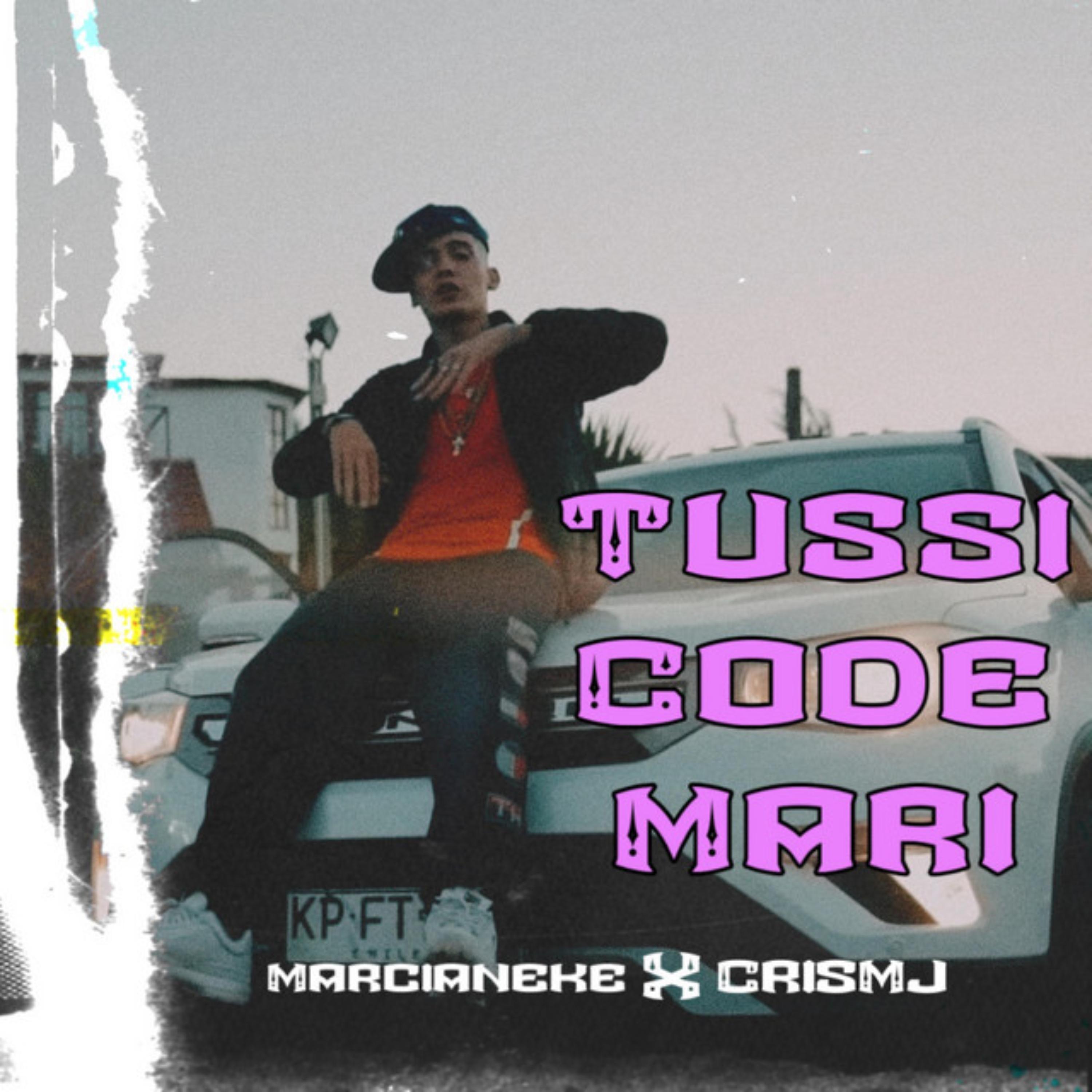 Постер альбома Tussi Code Mari