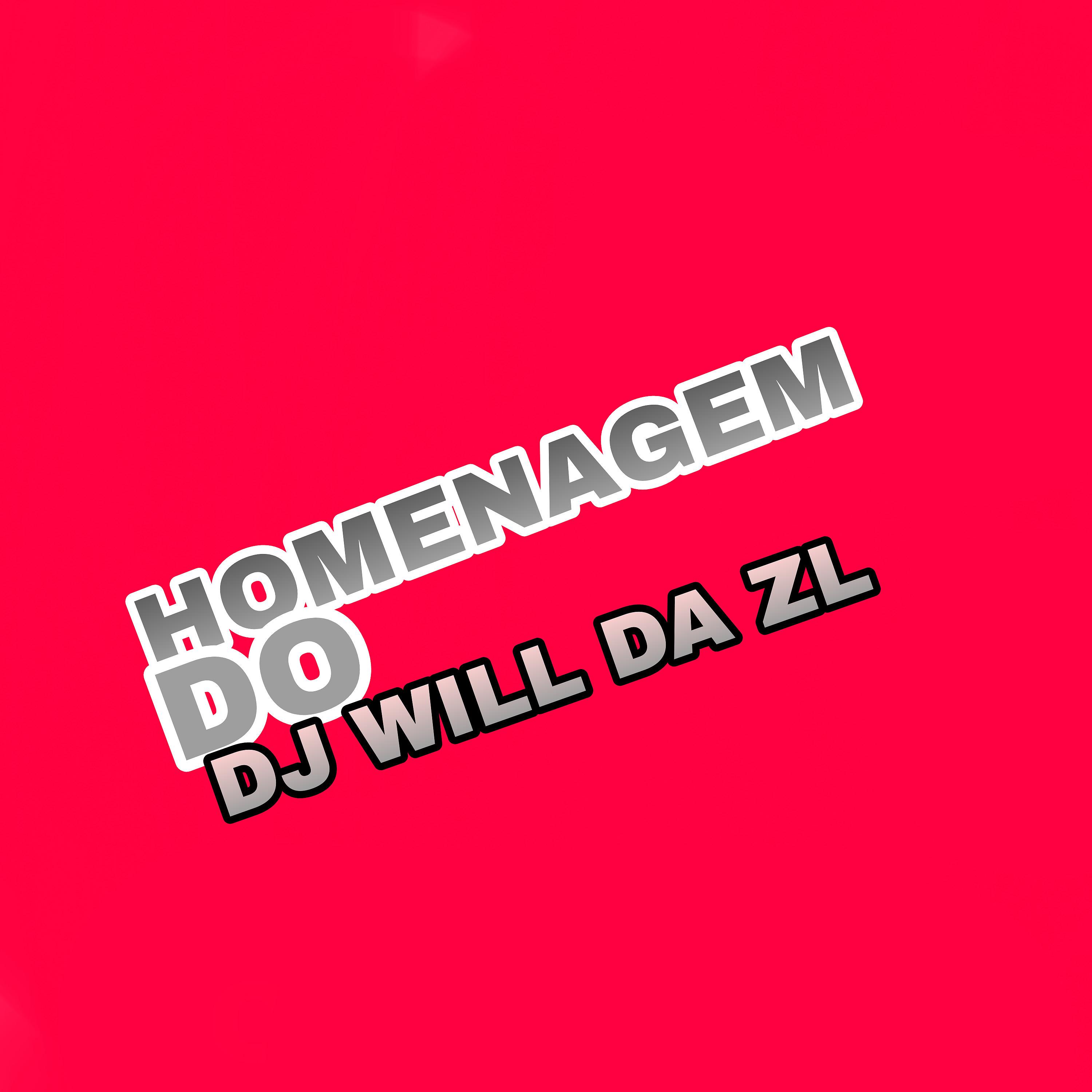 Постер альбома Homenagem do Dj Will da ZL