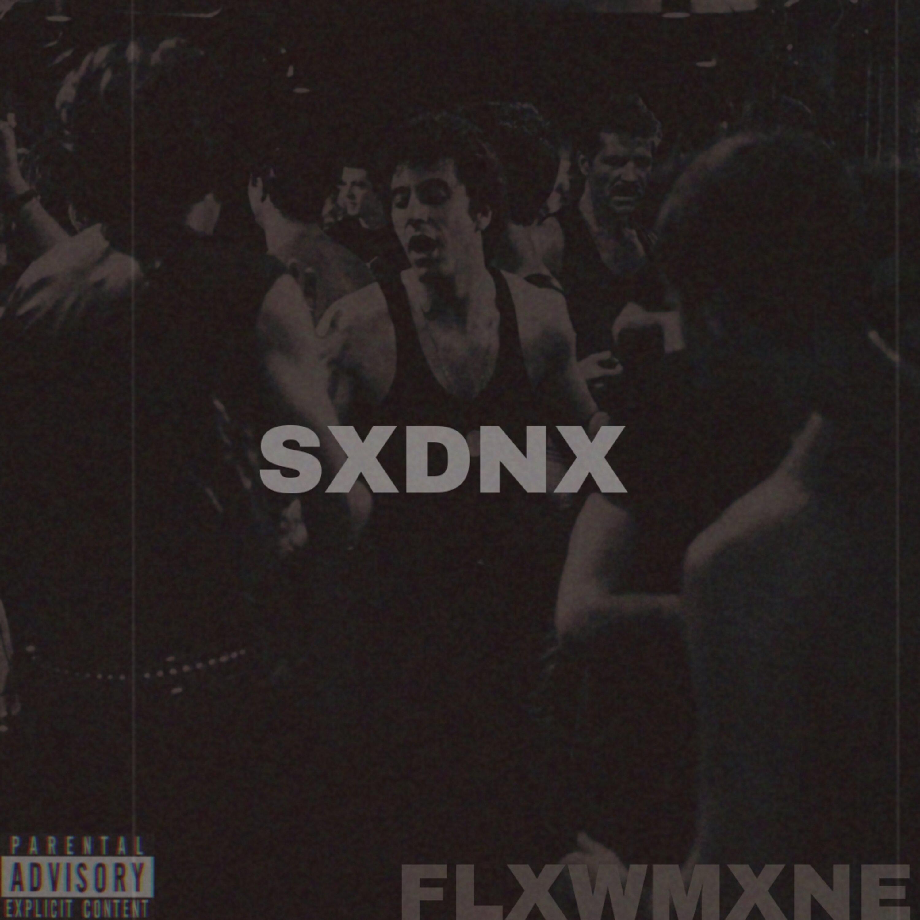 Постер альбома SXDNX