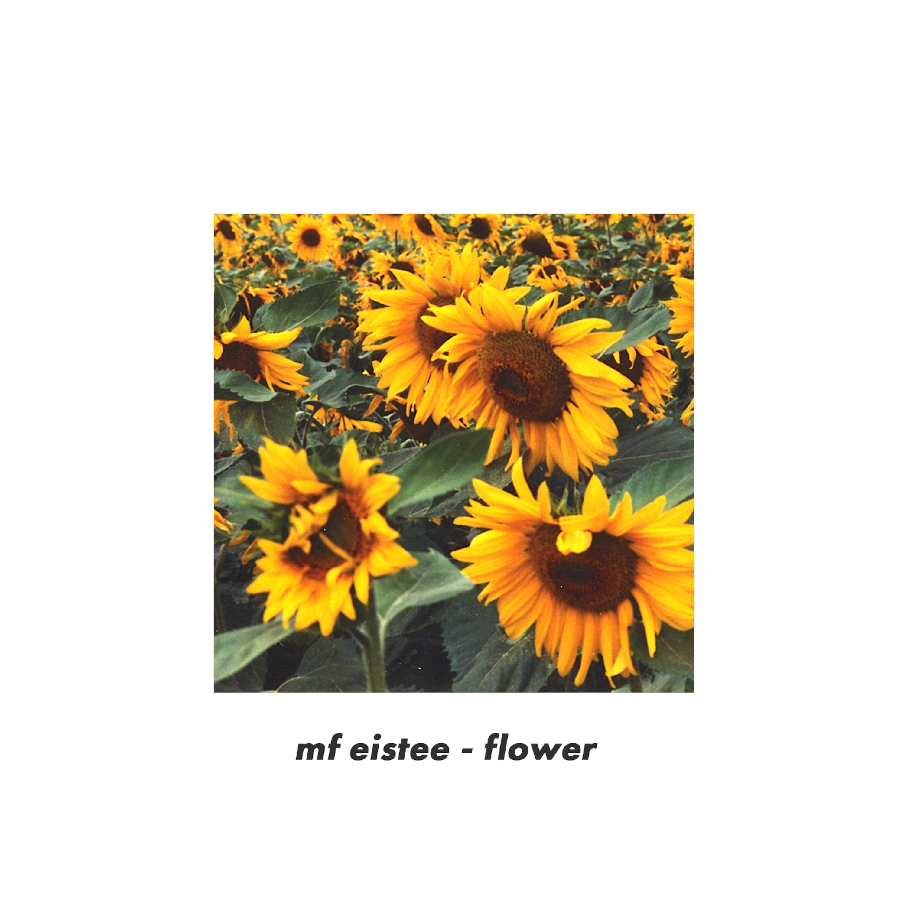 Постер альбома flower