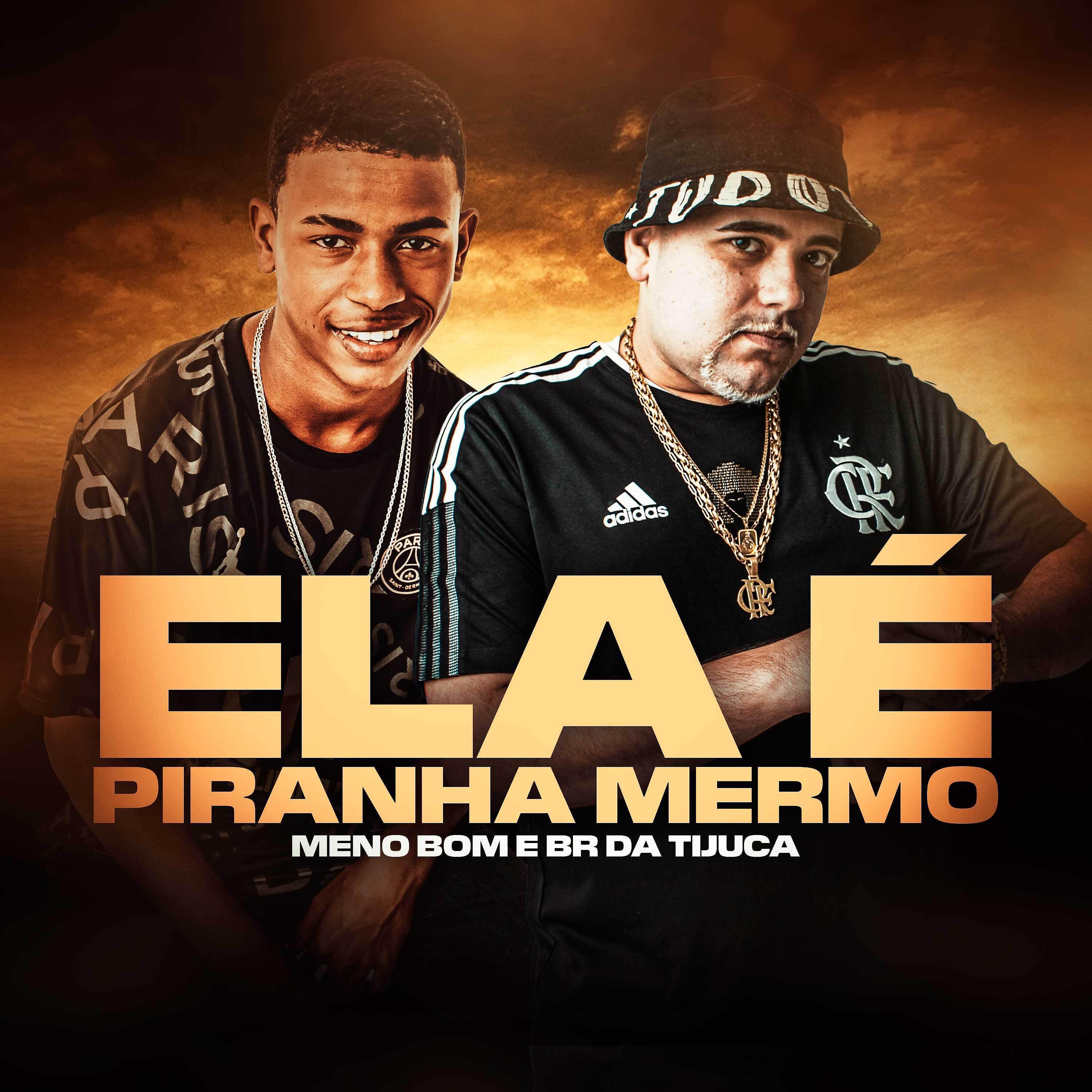 Постер альбома Ela É Piranha Mermo