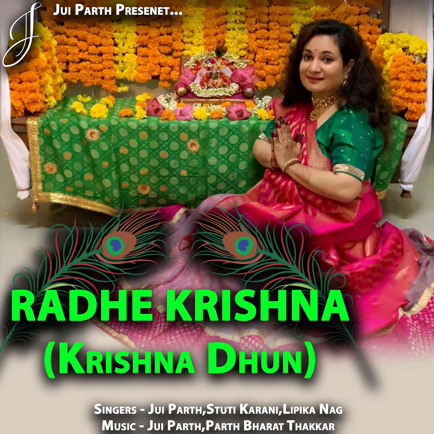 Постер альбома Radhe Krishna Krishna Dhun