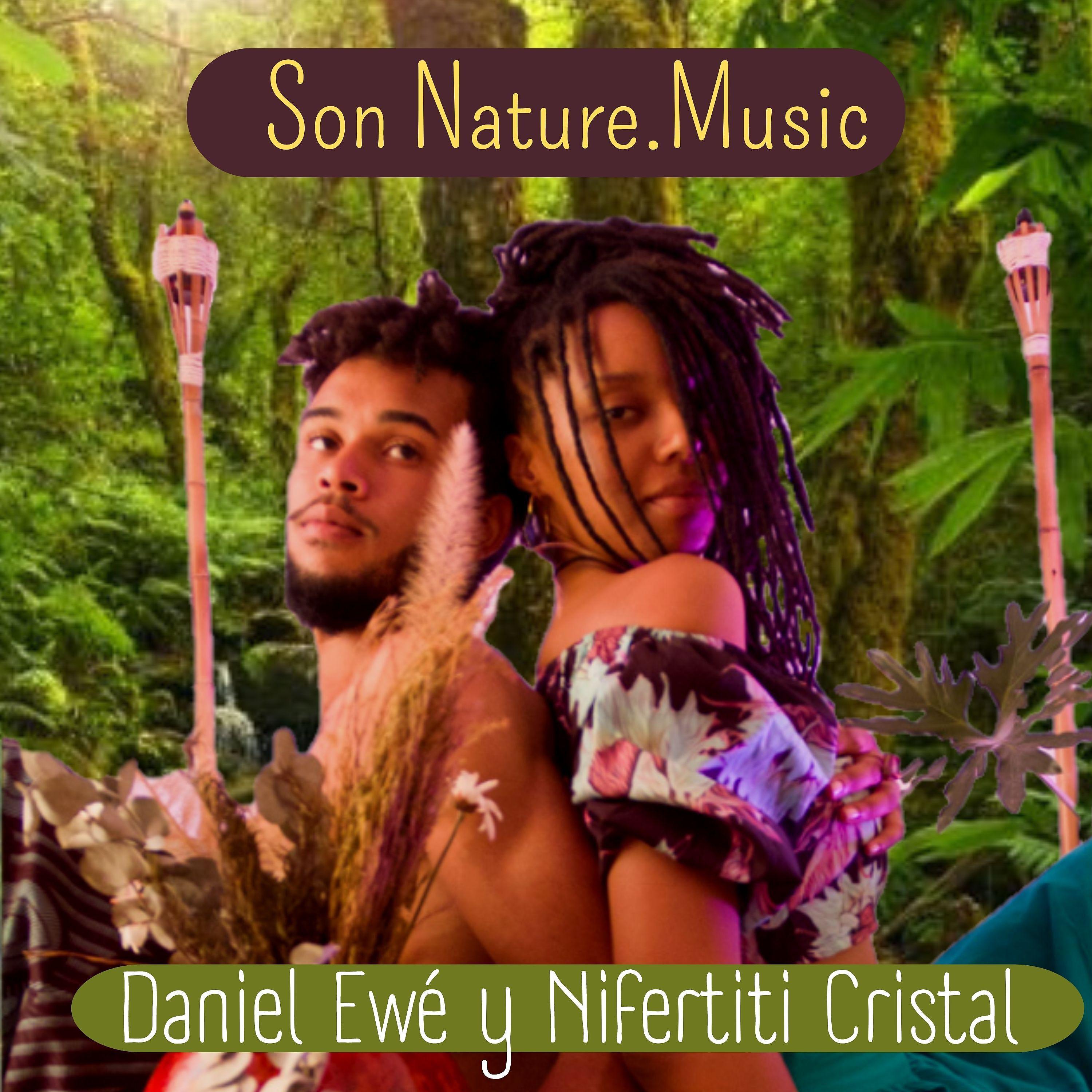Постер альбома Son Nature.Music