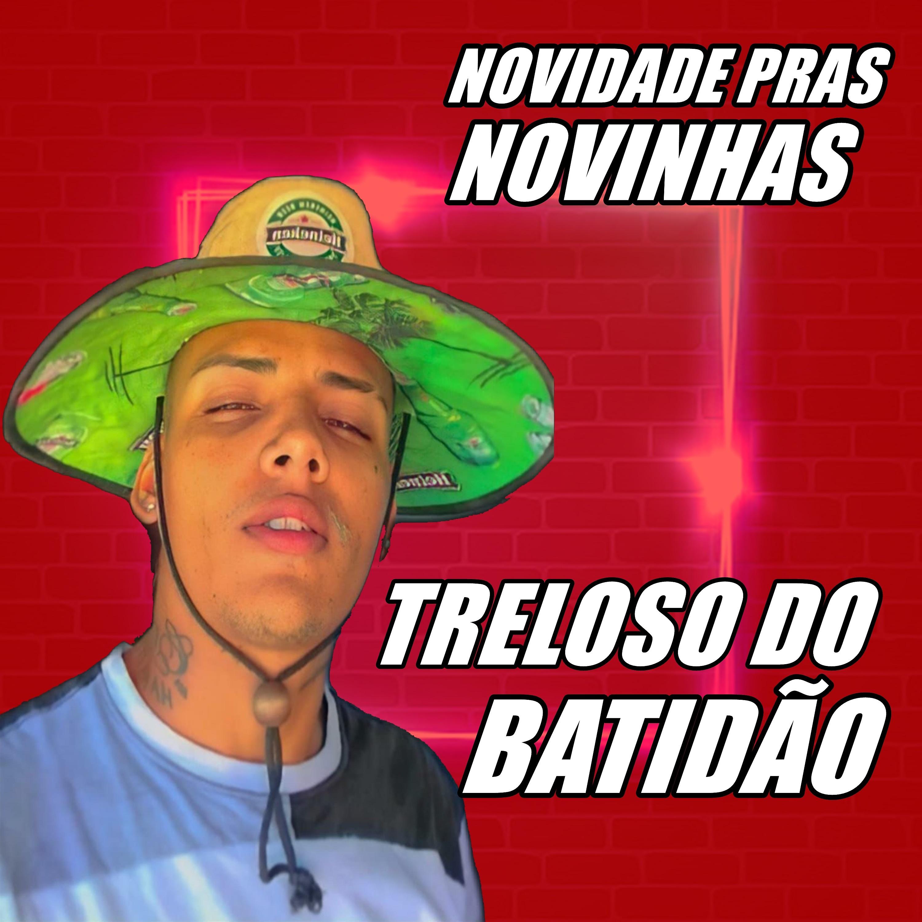 Постер альбома Novidade Pras Novinhas
