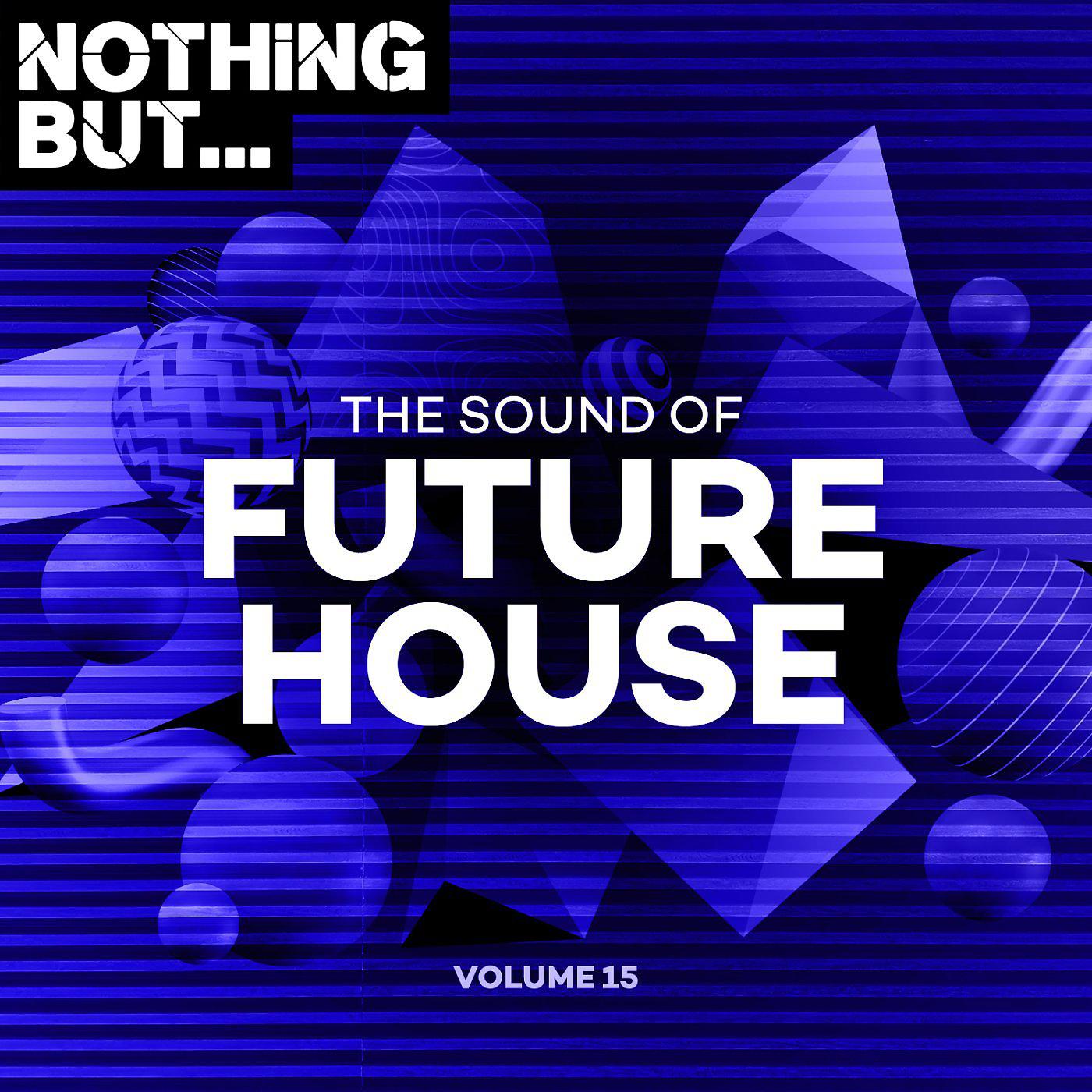Постер альбома Nothing But... The Sound of Future House, Vol. 15