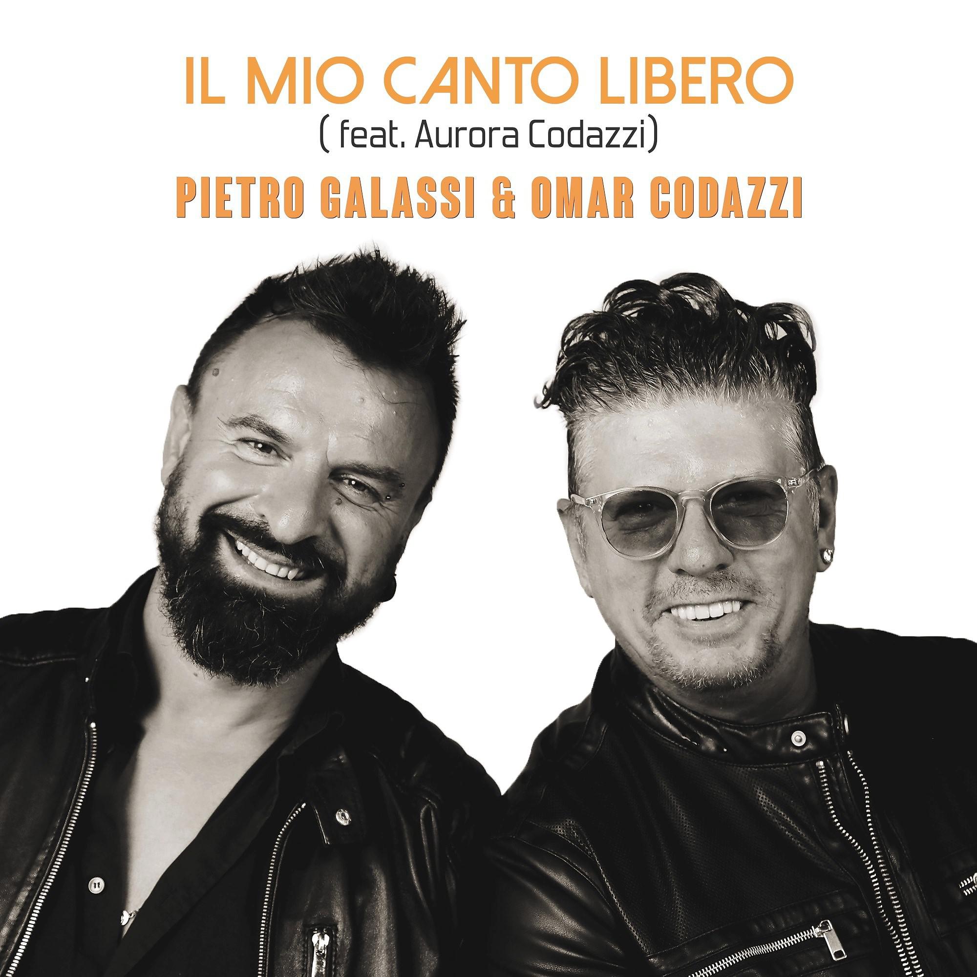 Постер альбома Il mio canto libero