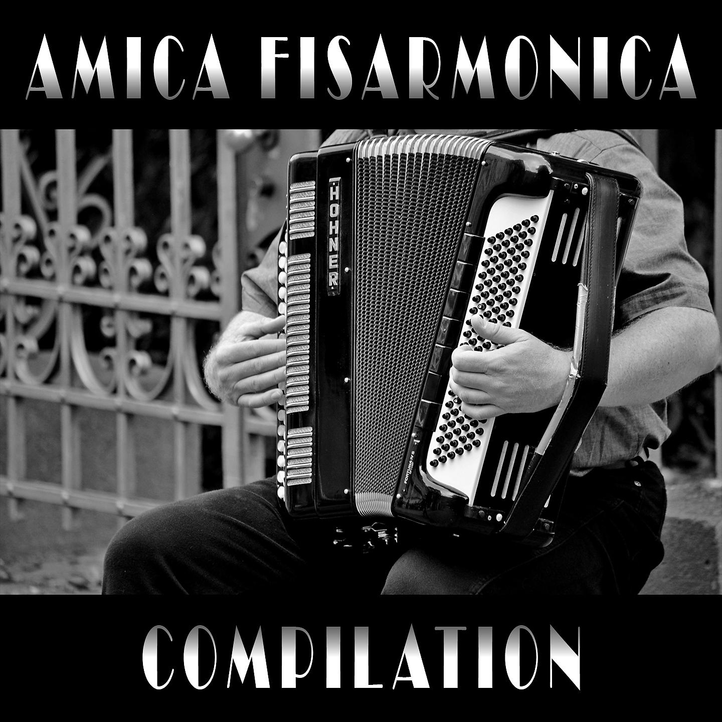 Постер альбома Amica Fisarmonica Compilation