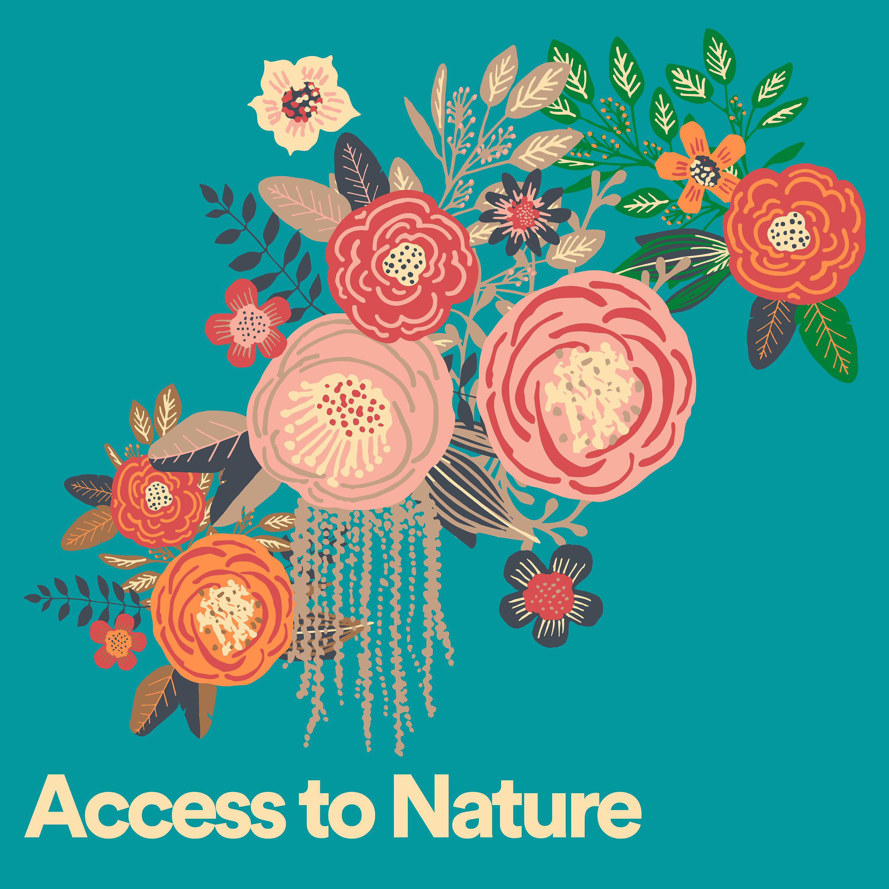 Постер альбома Access to Nature