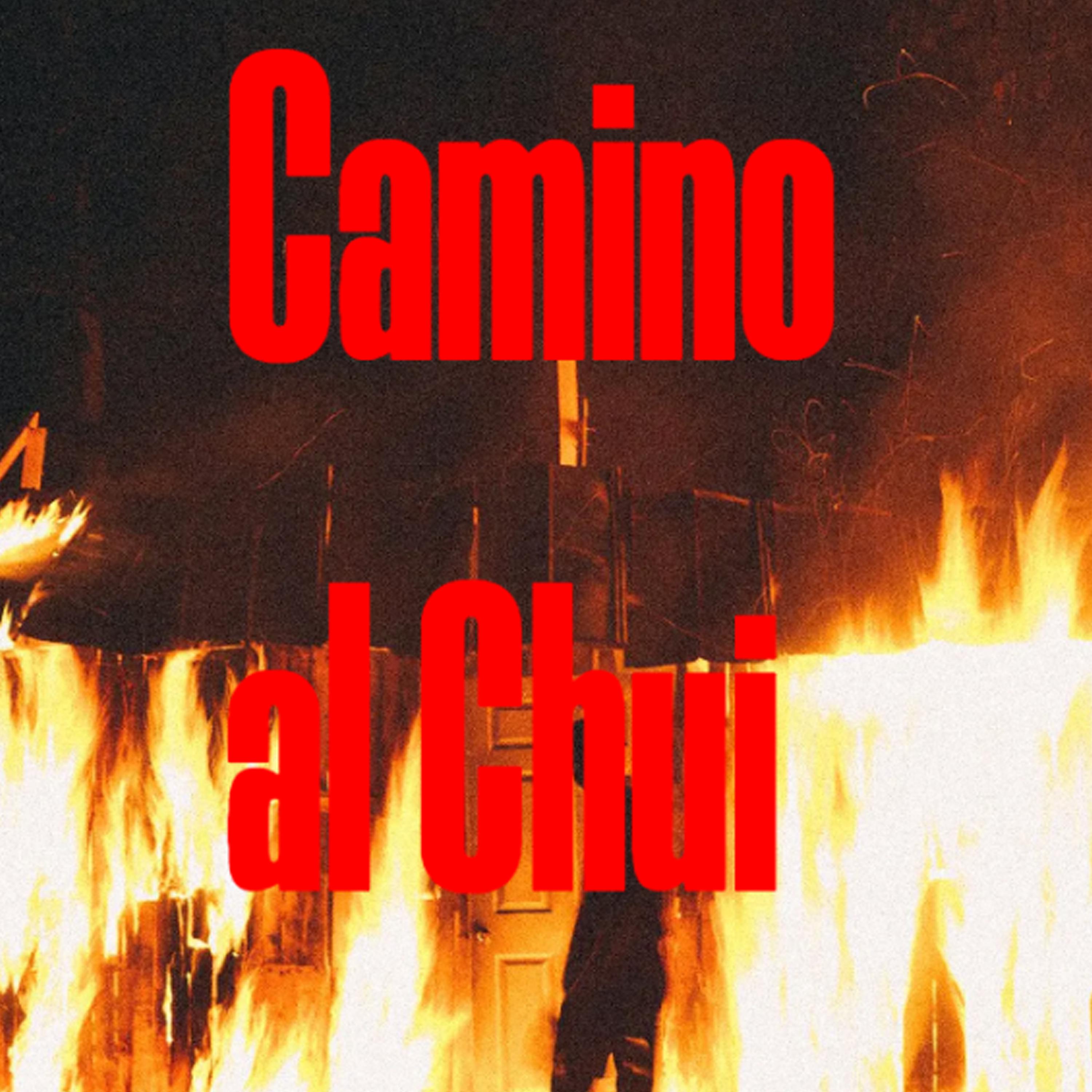 Постер альбома Camino al Chui