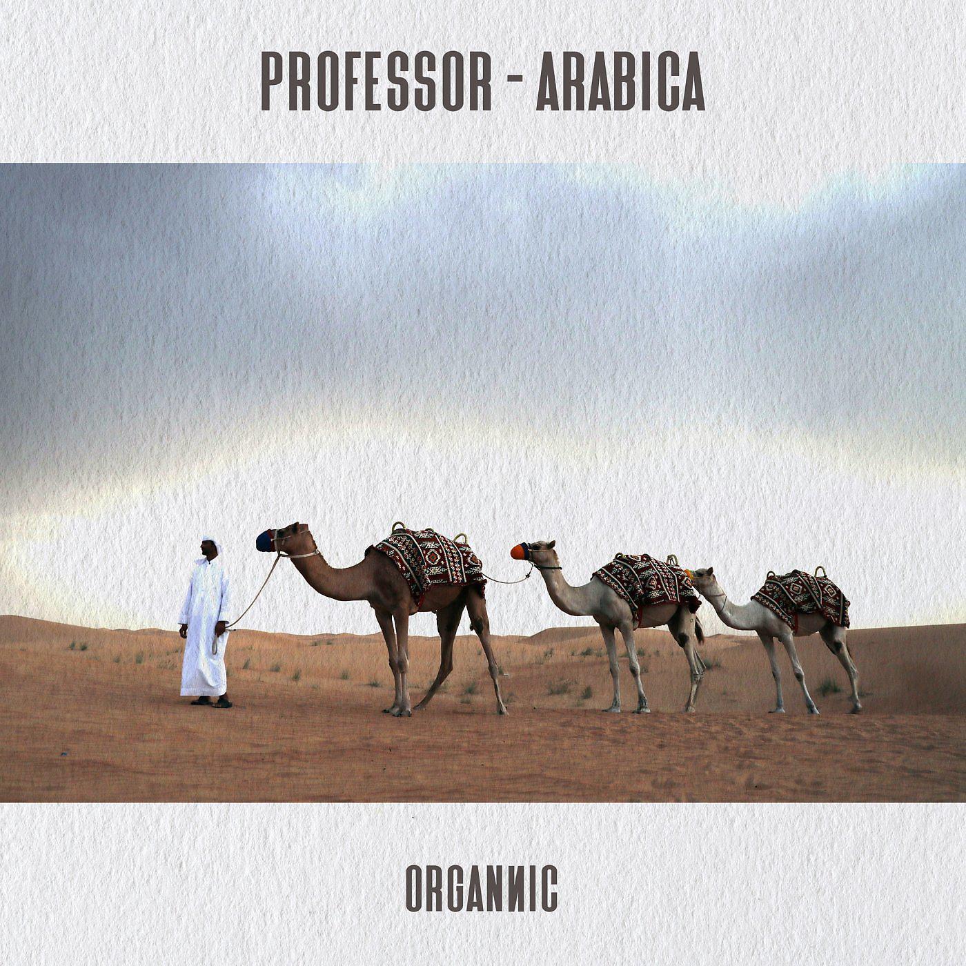 Постер альбома Arabica