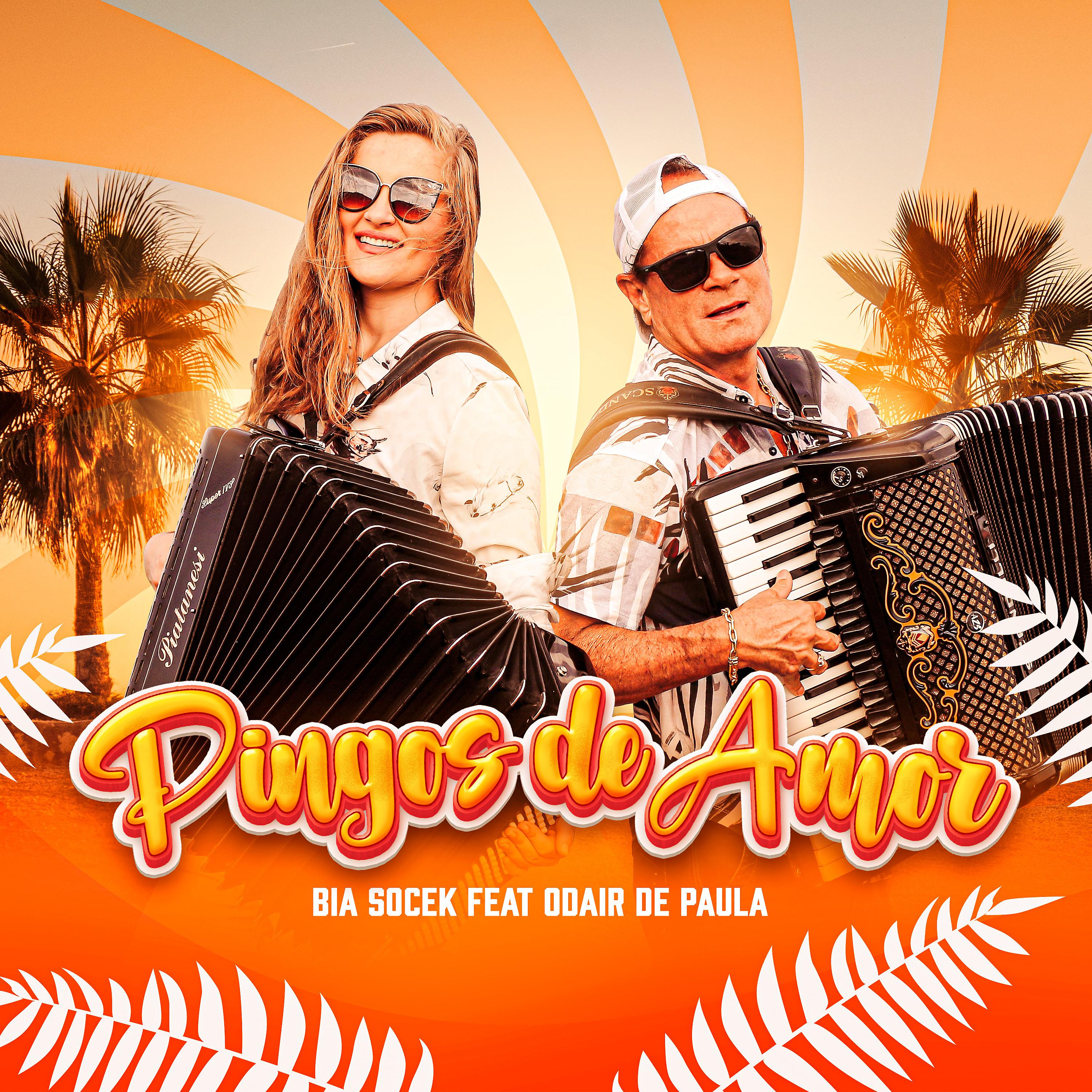 Постер альбома Pingos de Amor