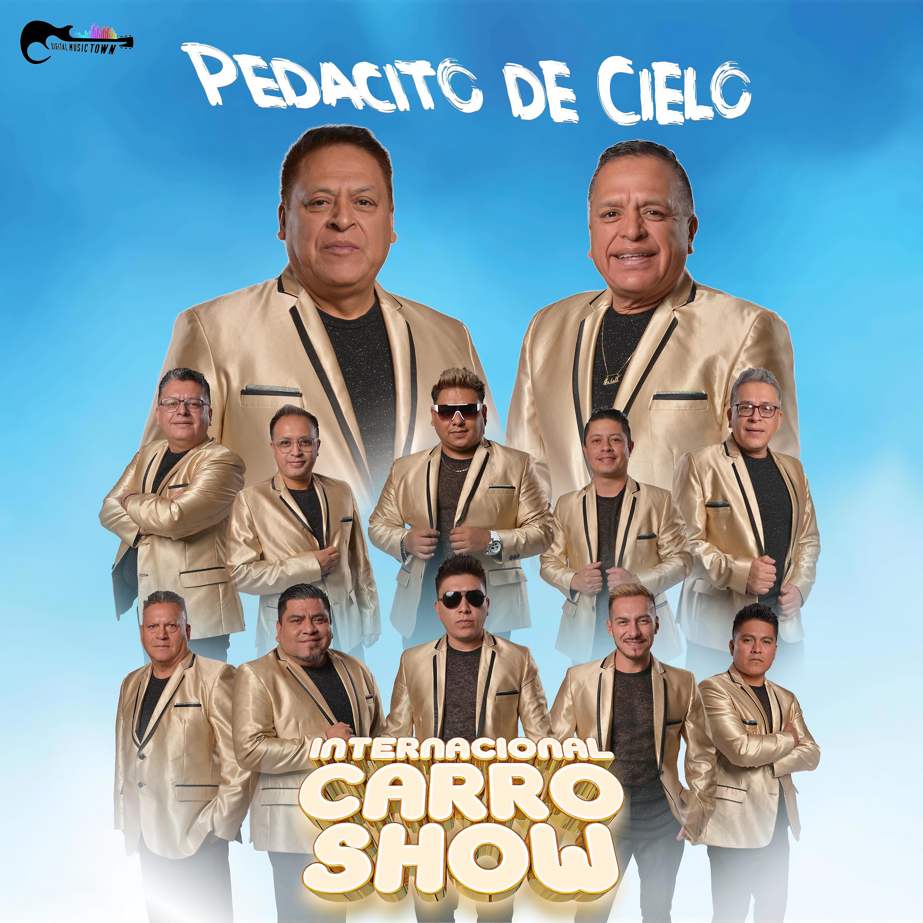 Постер альбома Pedacito de Cielo