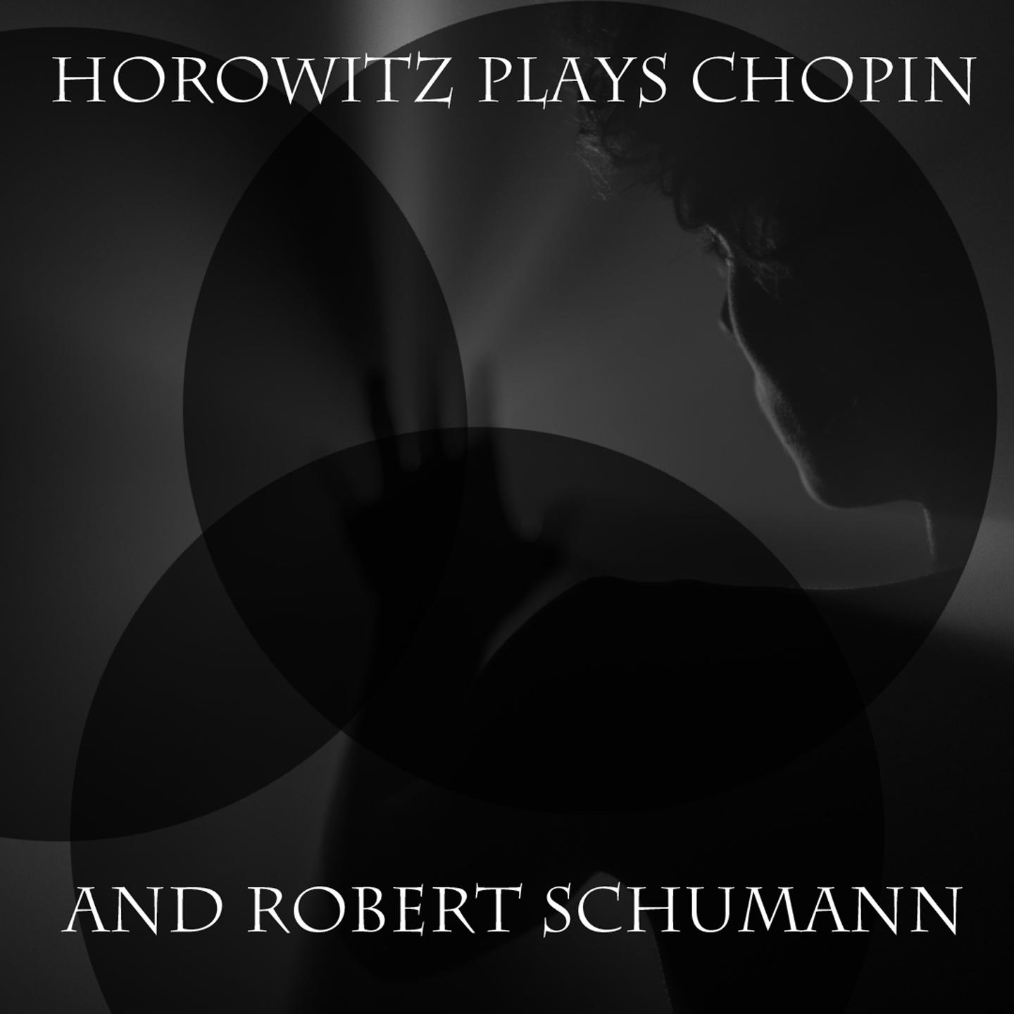 Постер альбома Horowitz Plays Chopin and Robert Schumann