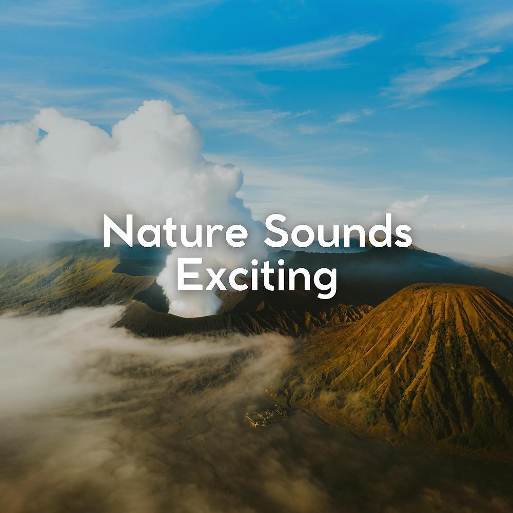 Постер альбома Nature Sounds Exciting