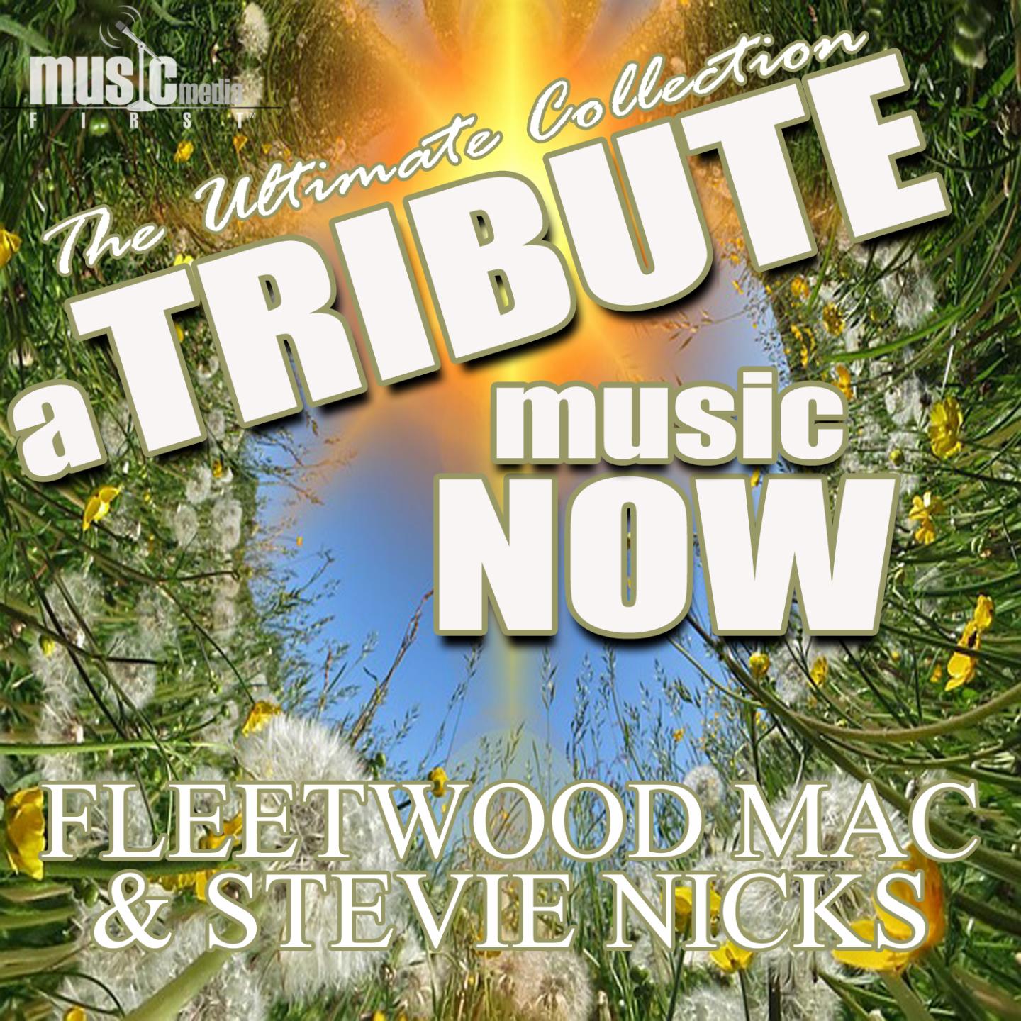Постер альбома A Tribute Music Now: Fleetwood Mac and Stevie Nicks - The Ultimate Collection