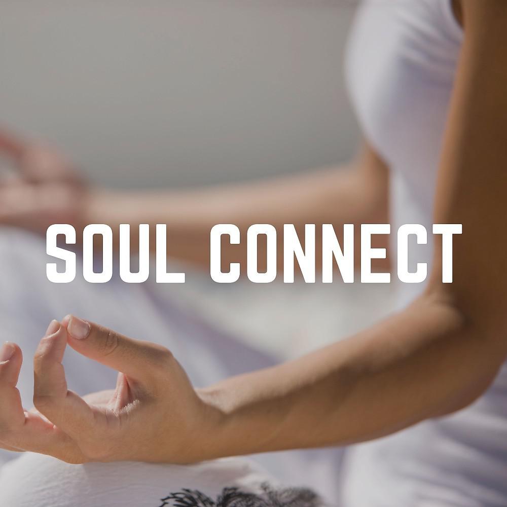 Постер альбома Soul Connect