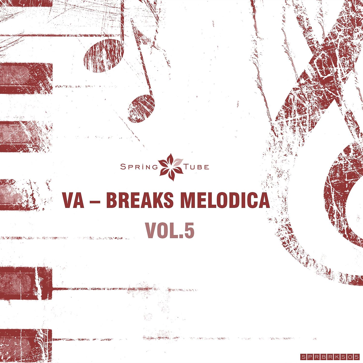 Постер альбома Breaks Melodica, Vol.5