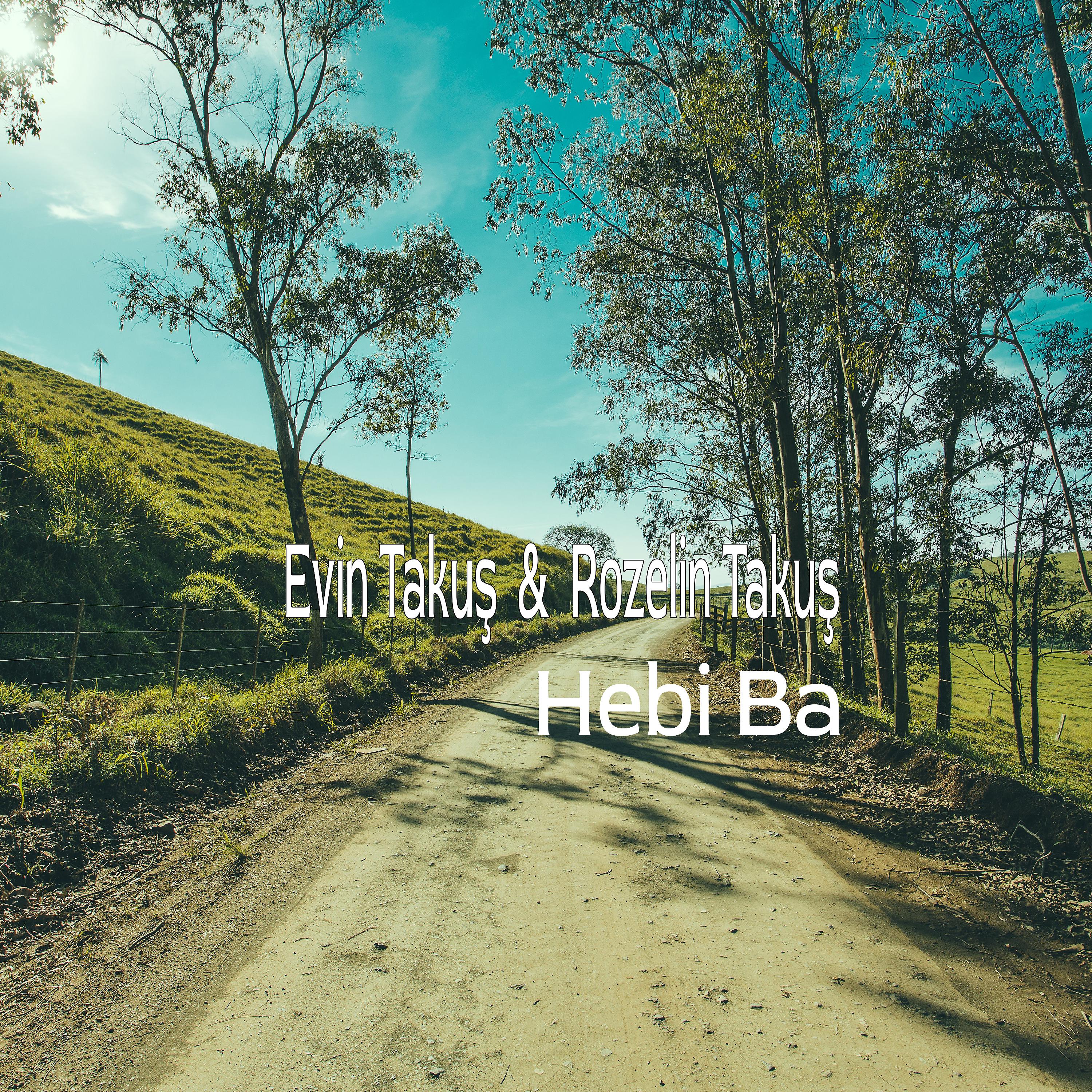 Постер альбома Hebi Ba