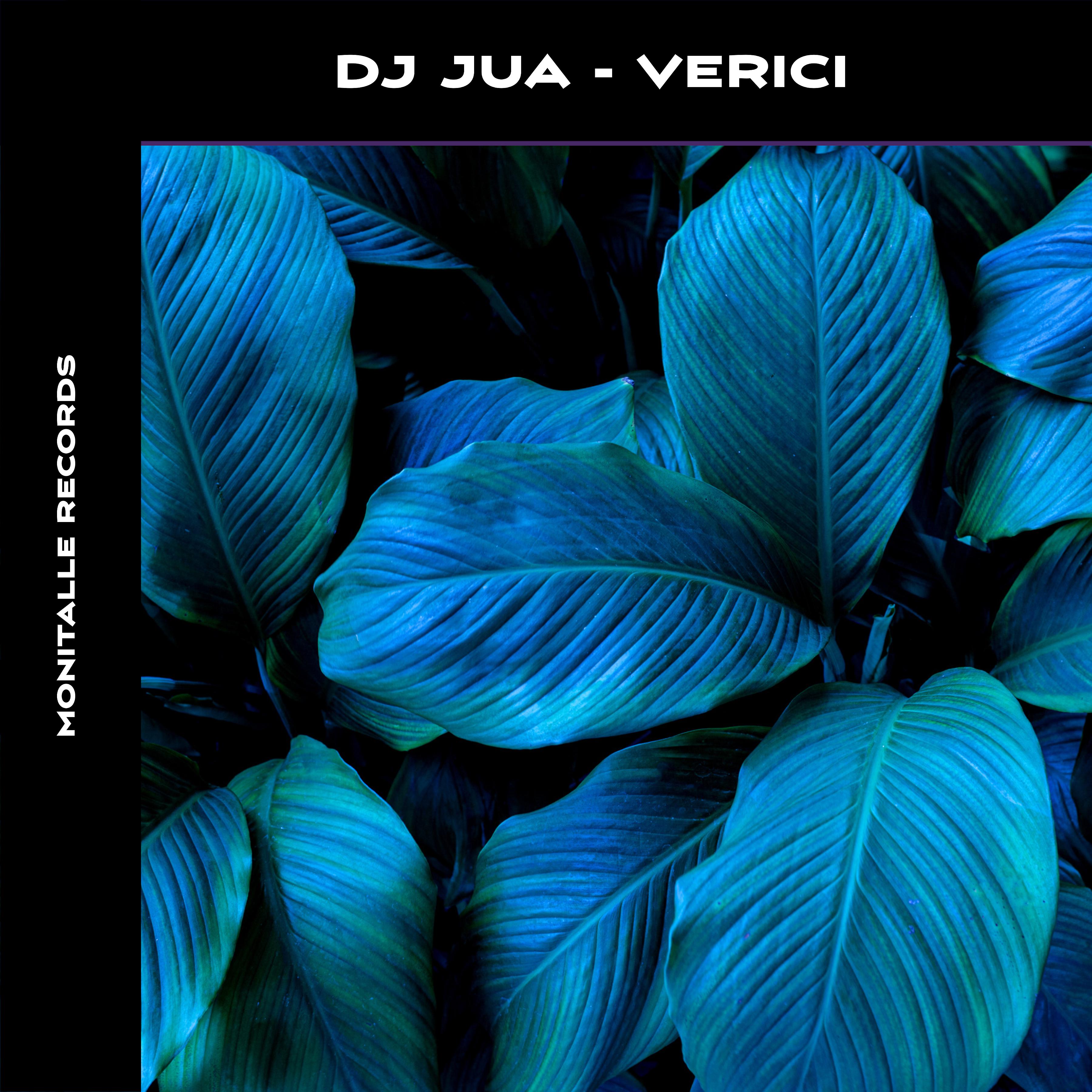 Постер альбома Verici