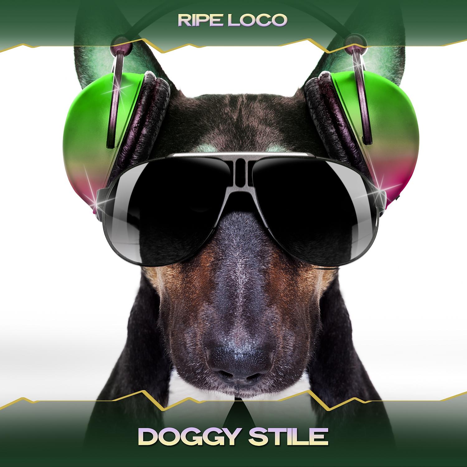Постер альбома Doggy Stile