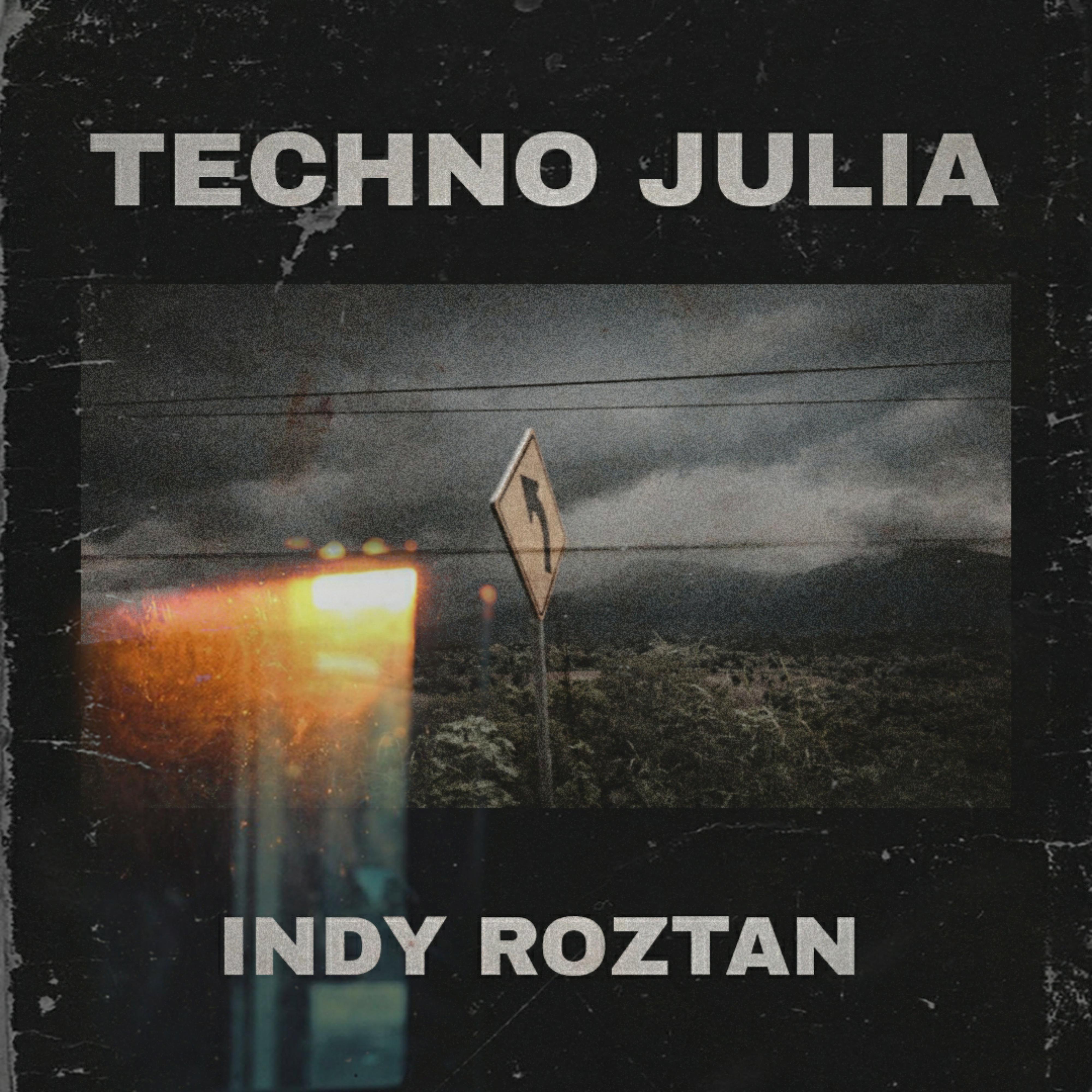 Постер альбома Techno Julia