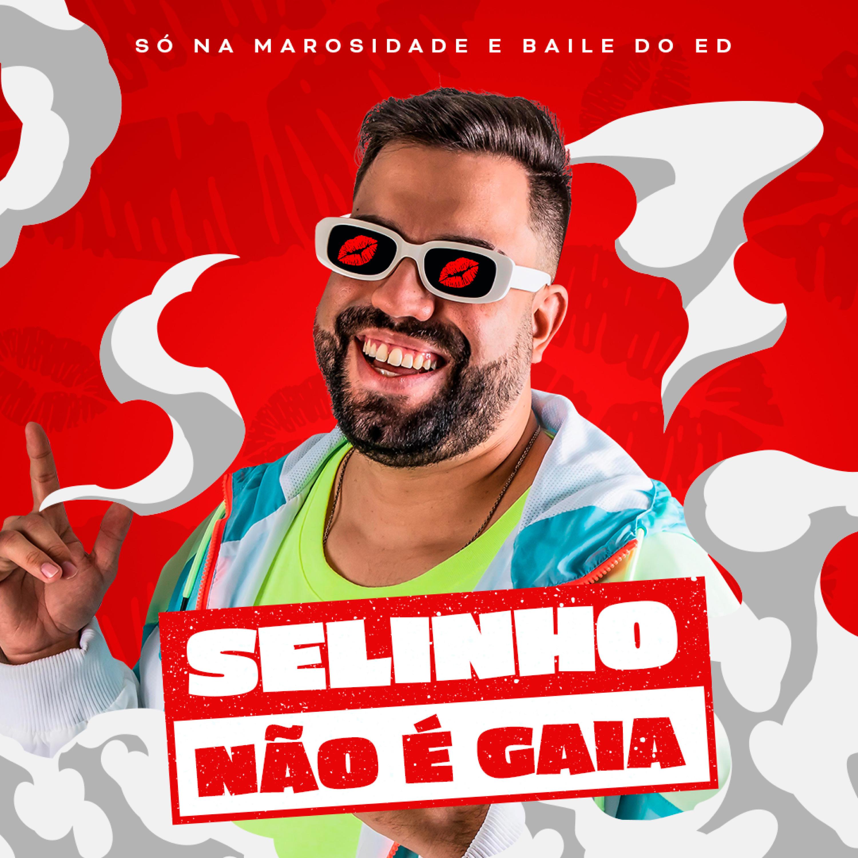 Постер альбома Selinho Não É Gaia