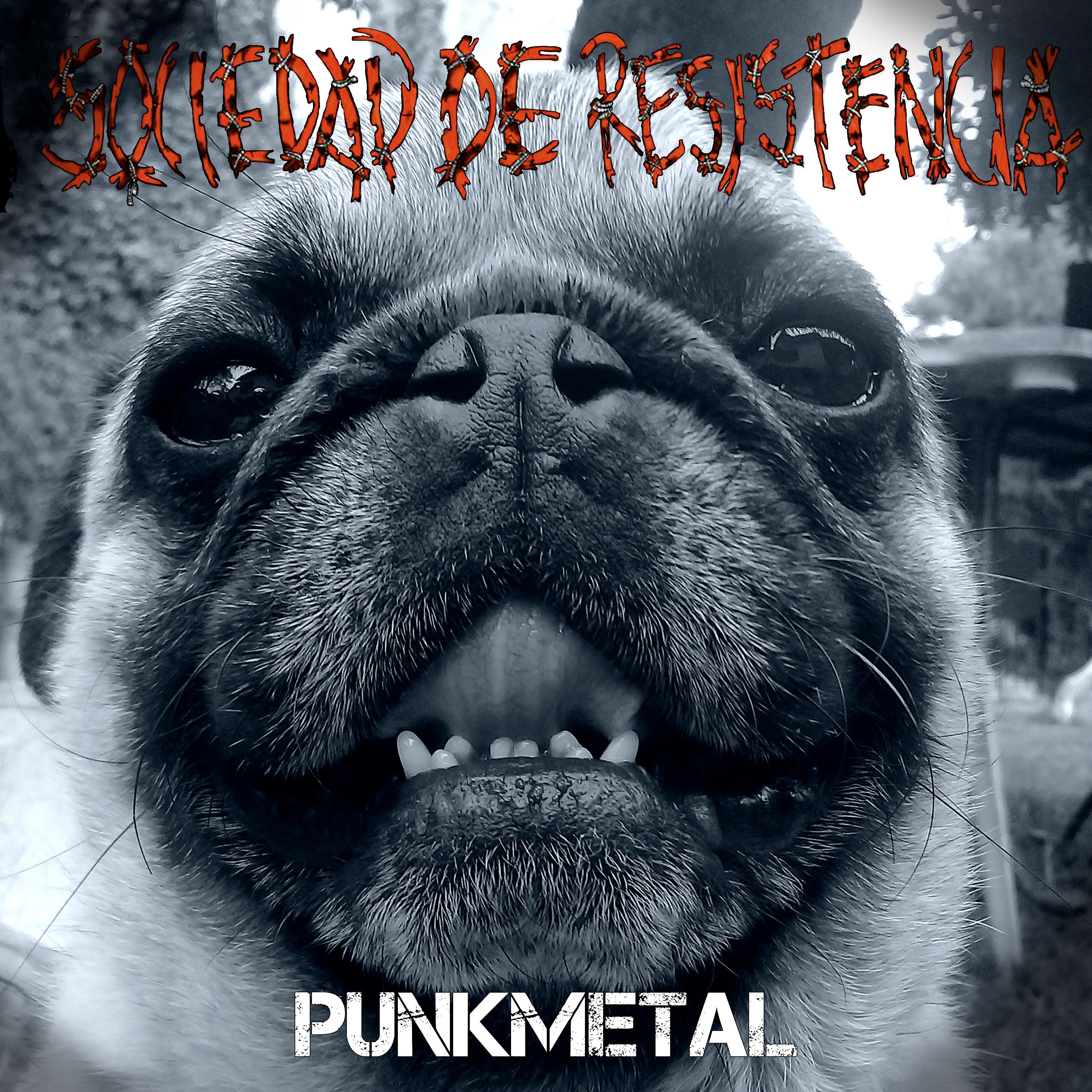 Постер альбома Punkmetal