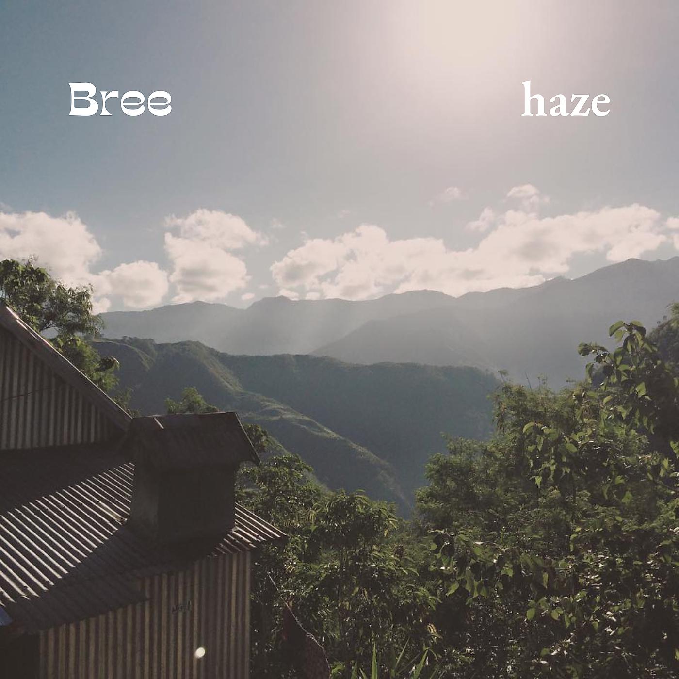 Постер альбома Haze