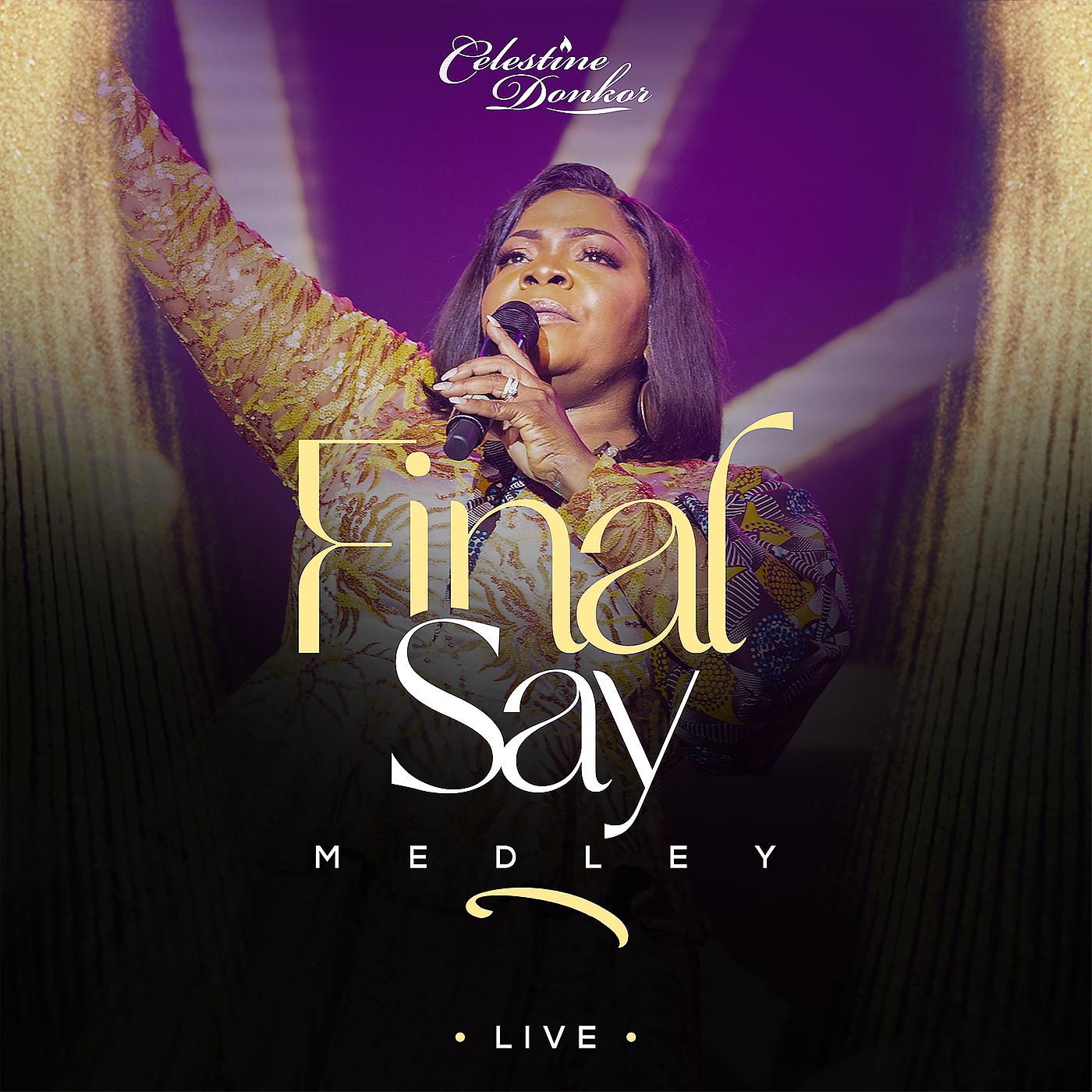 Постер альбома Final Say Medley (Live)