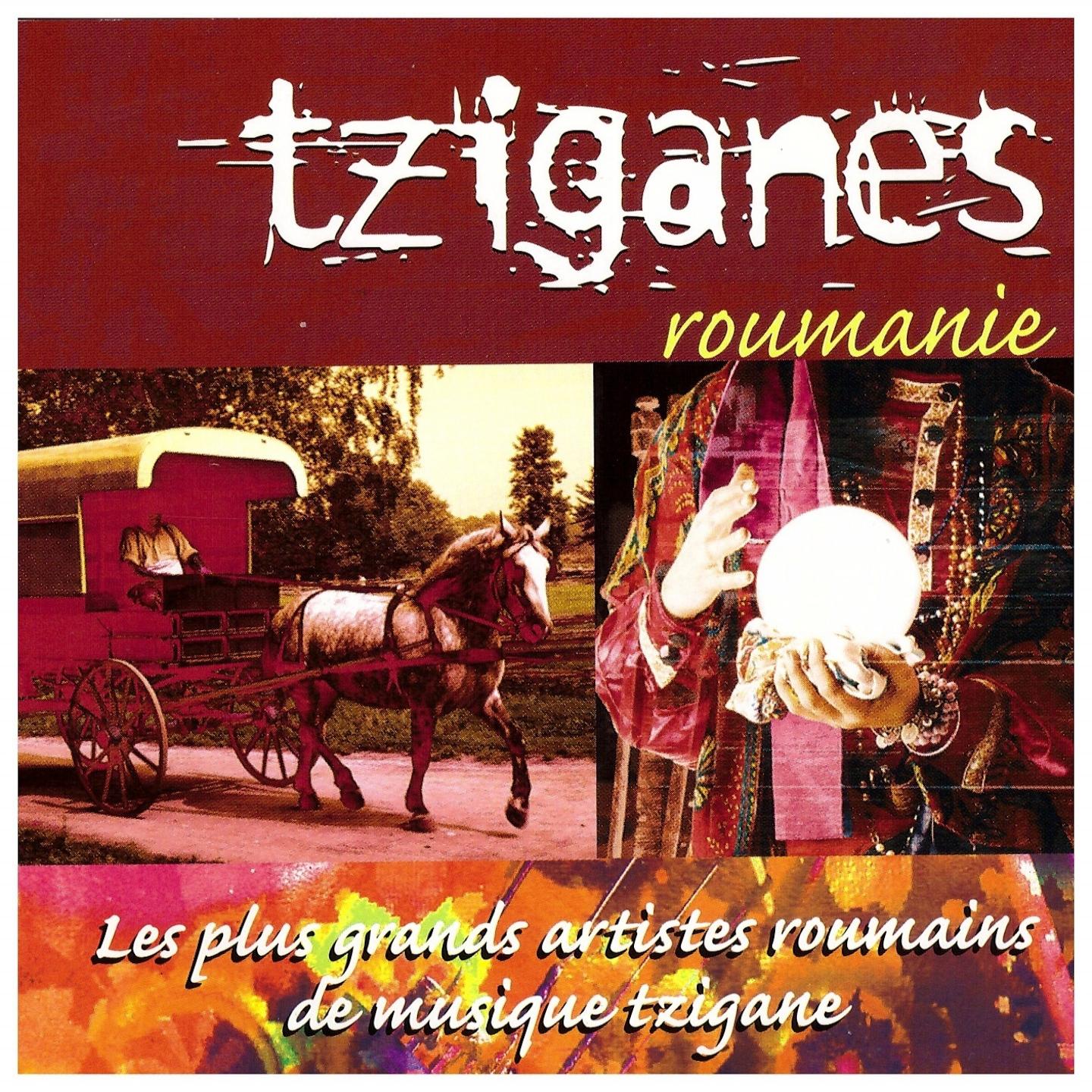 Постер альбома Tziganes Roumanie