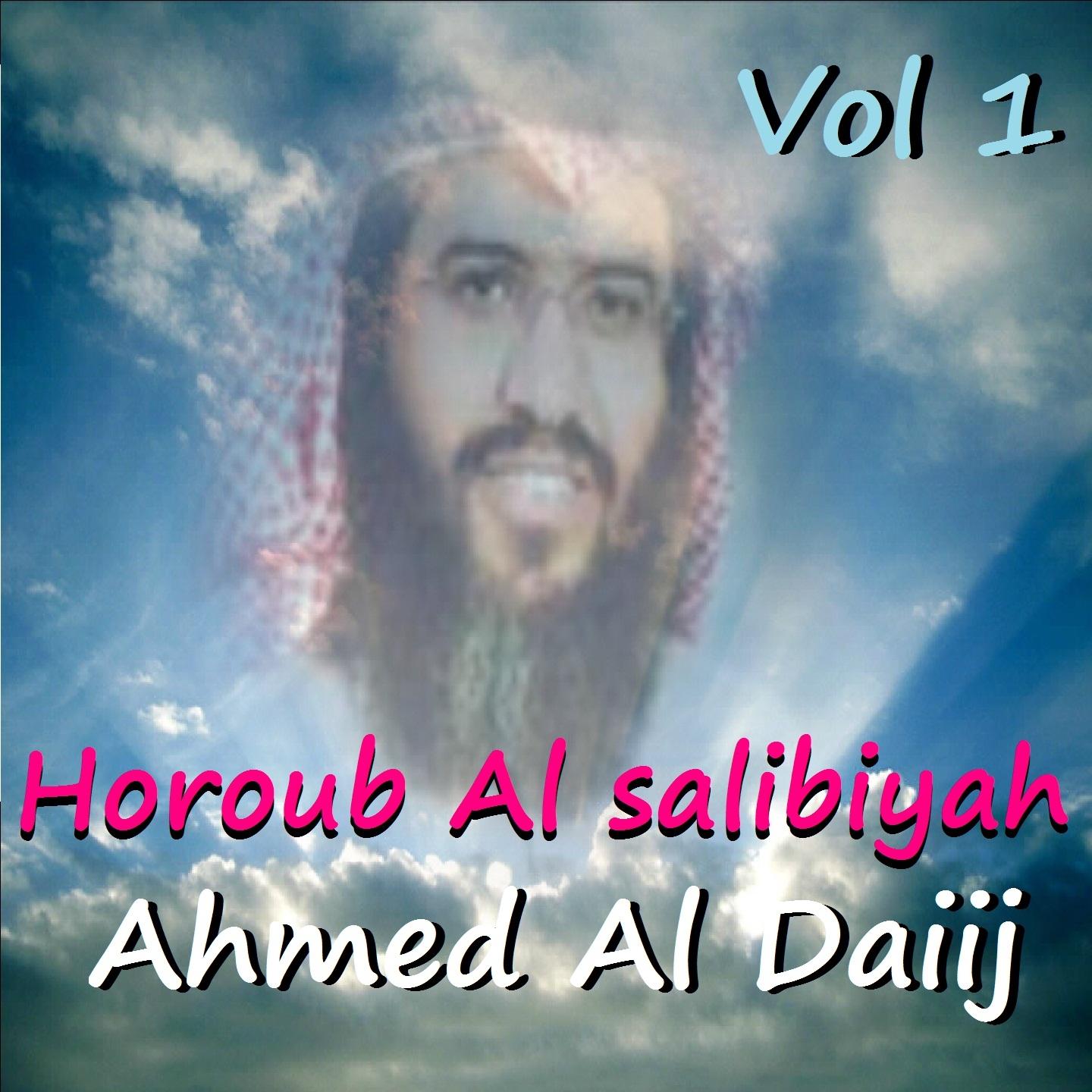 Постер альбома Horoub Al Salibiyah Vol. 1