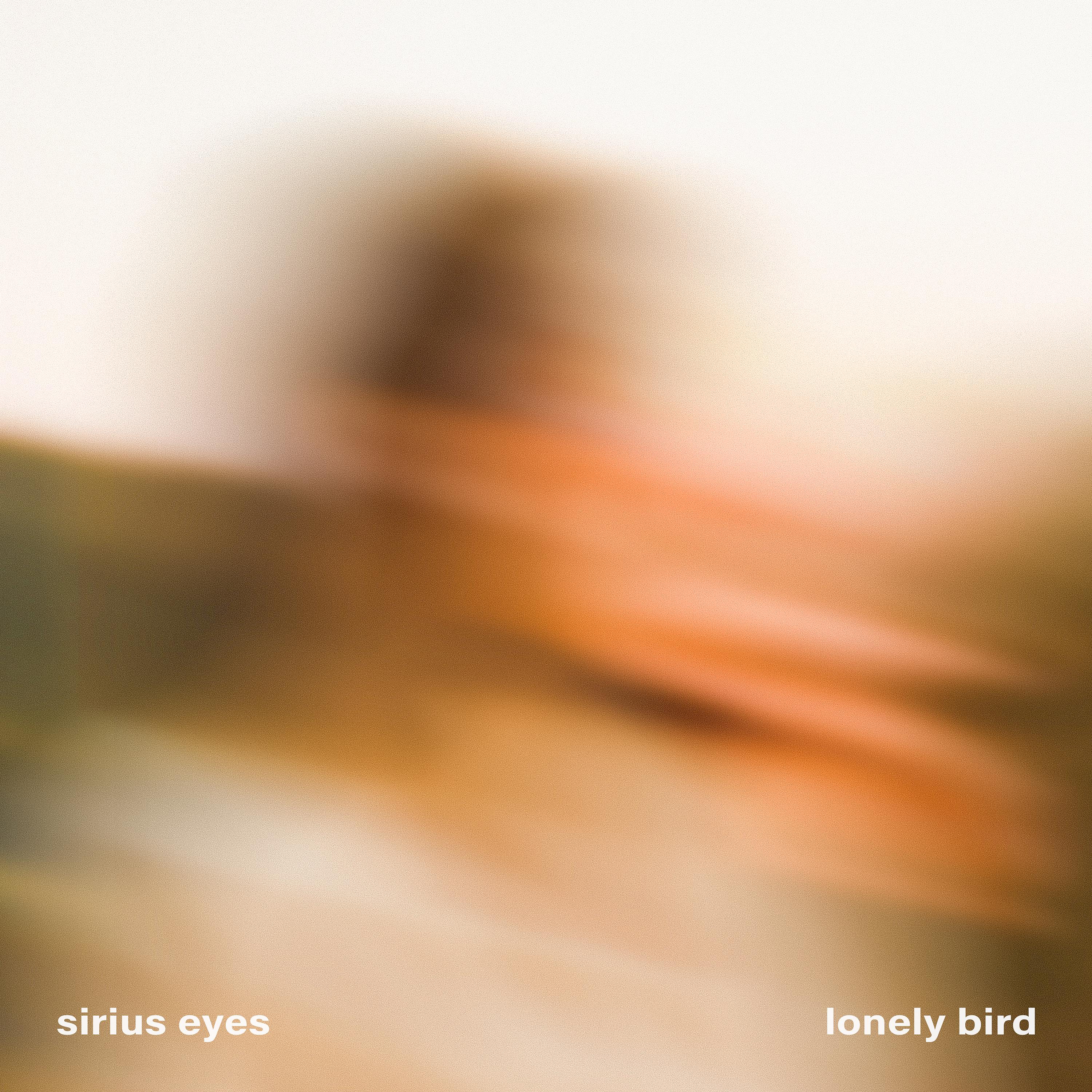 Постер альбома Lonely Bird