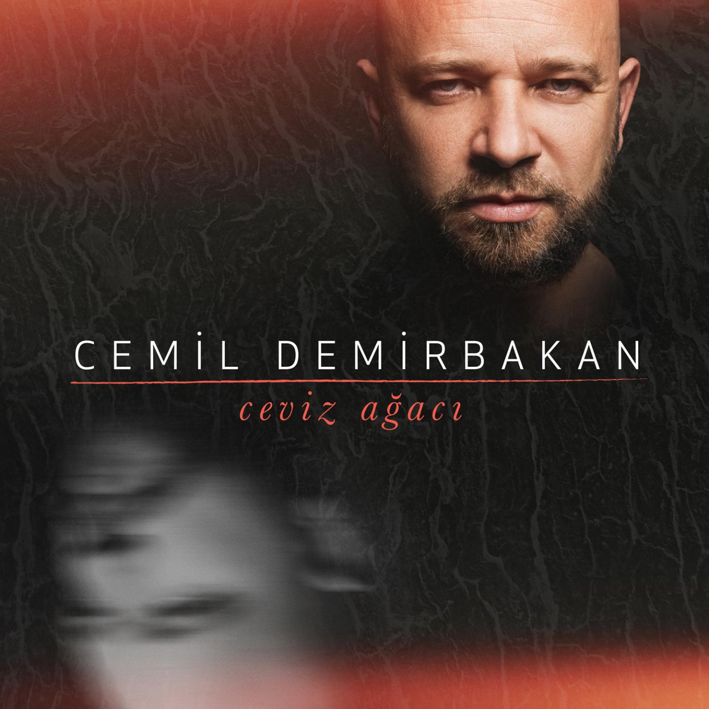Постер альбома Ceviz Ağacı