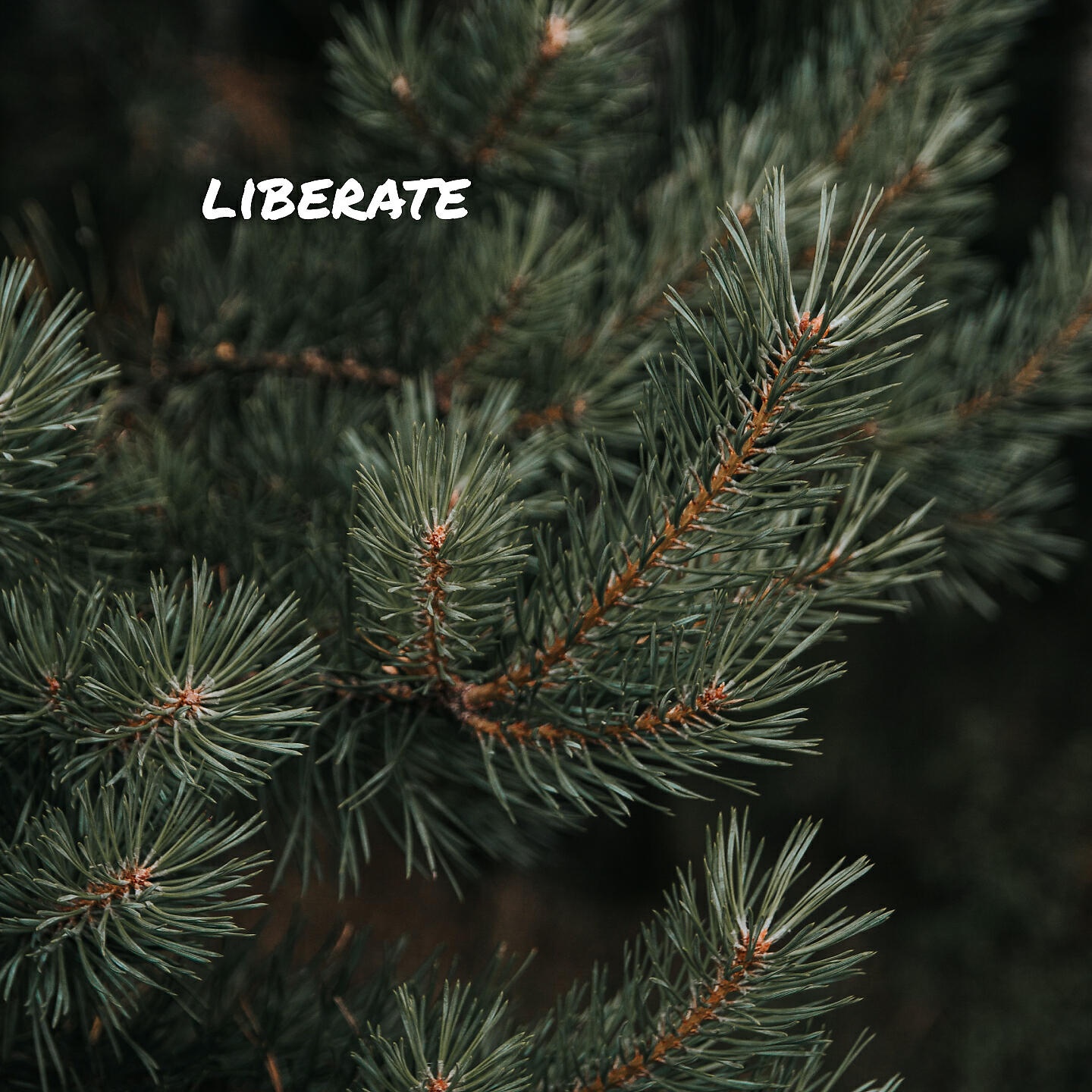 Постер альбома liberate