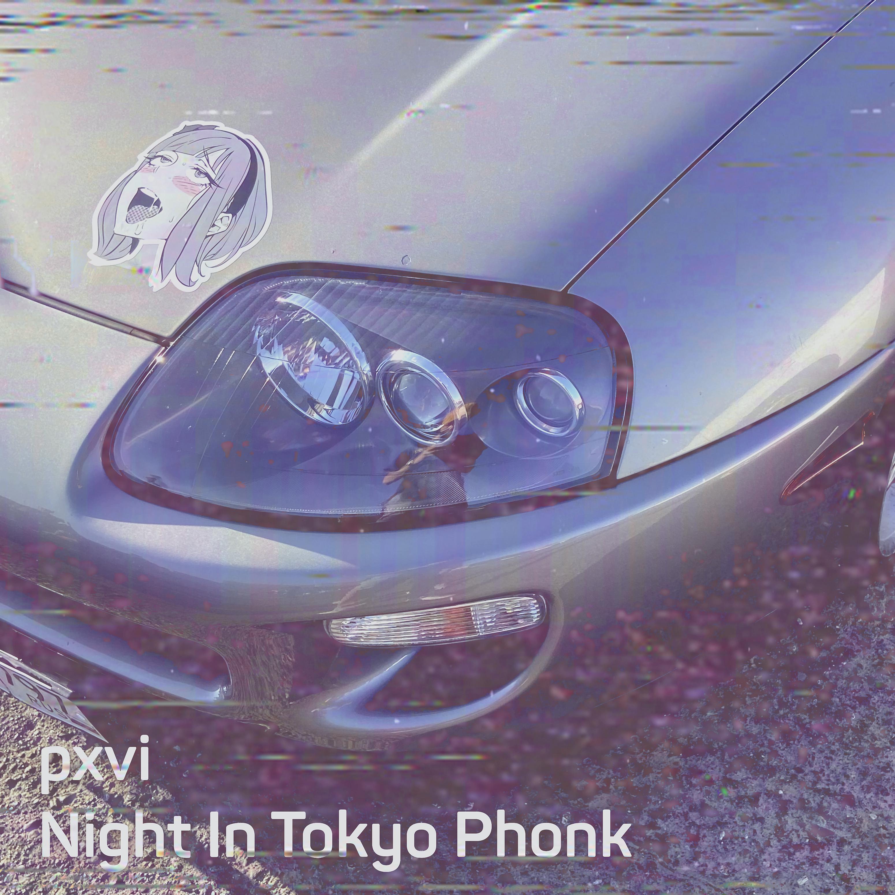 Постер альбома Night in Tokyo Phonk