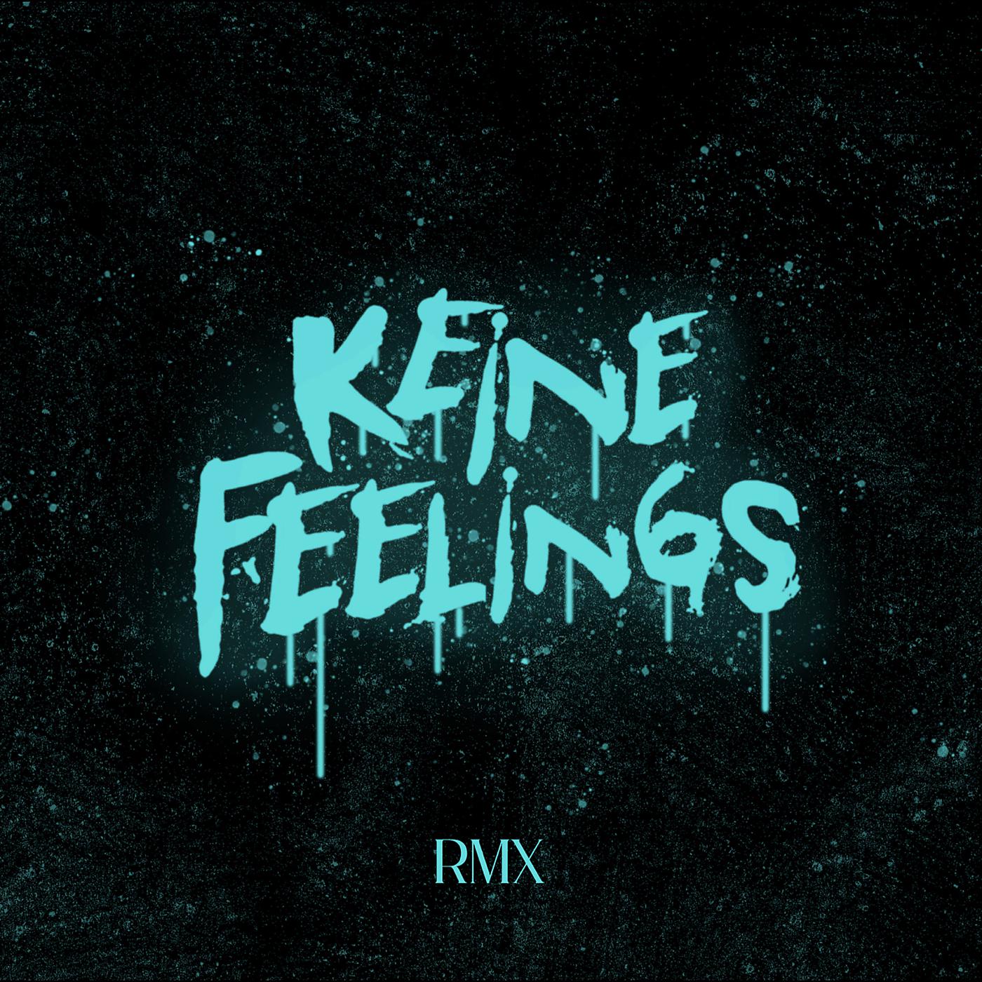 Постер альбома Keine Feelings Rmx
